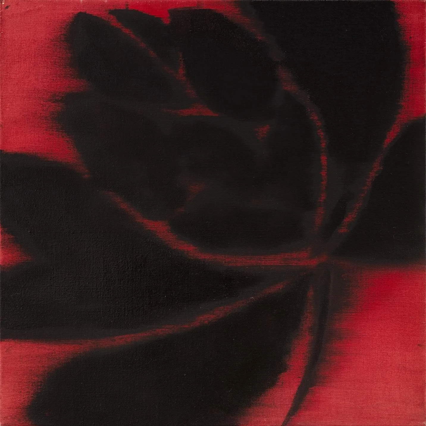 Chinese contemporary artist Bian Jing Petal 28 acrylic painting