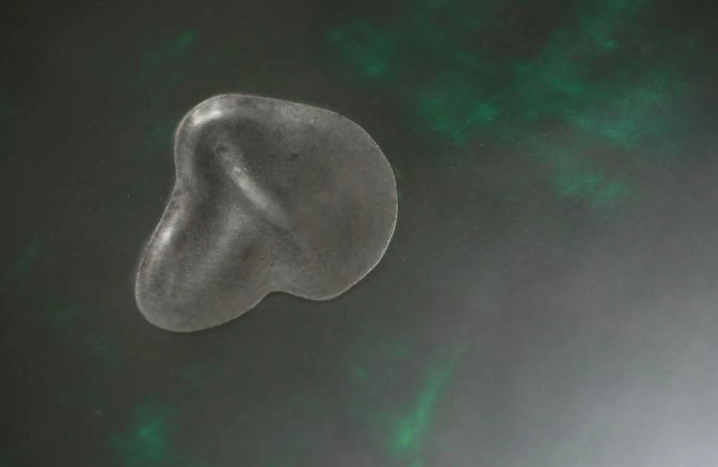 Contemporary Asian design furniture in lacquer by Jiaying Xu