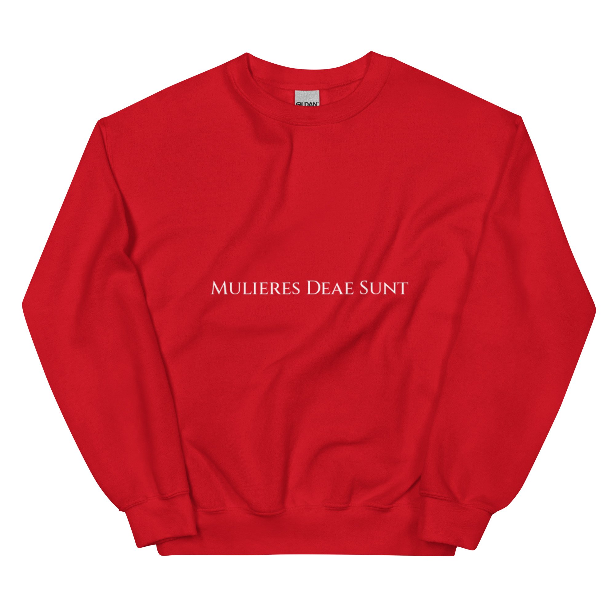 unisex-crew-neck-sweatshirt-red-front-685b27fa1e637.jpg