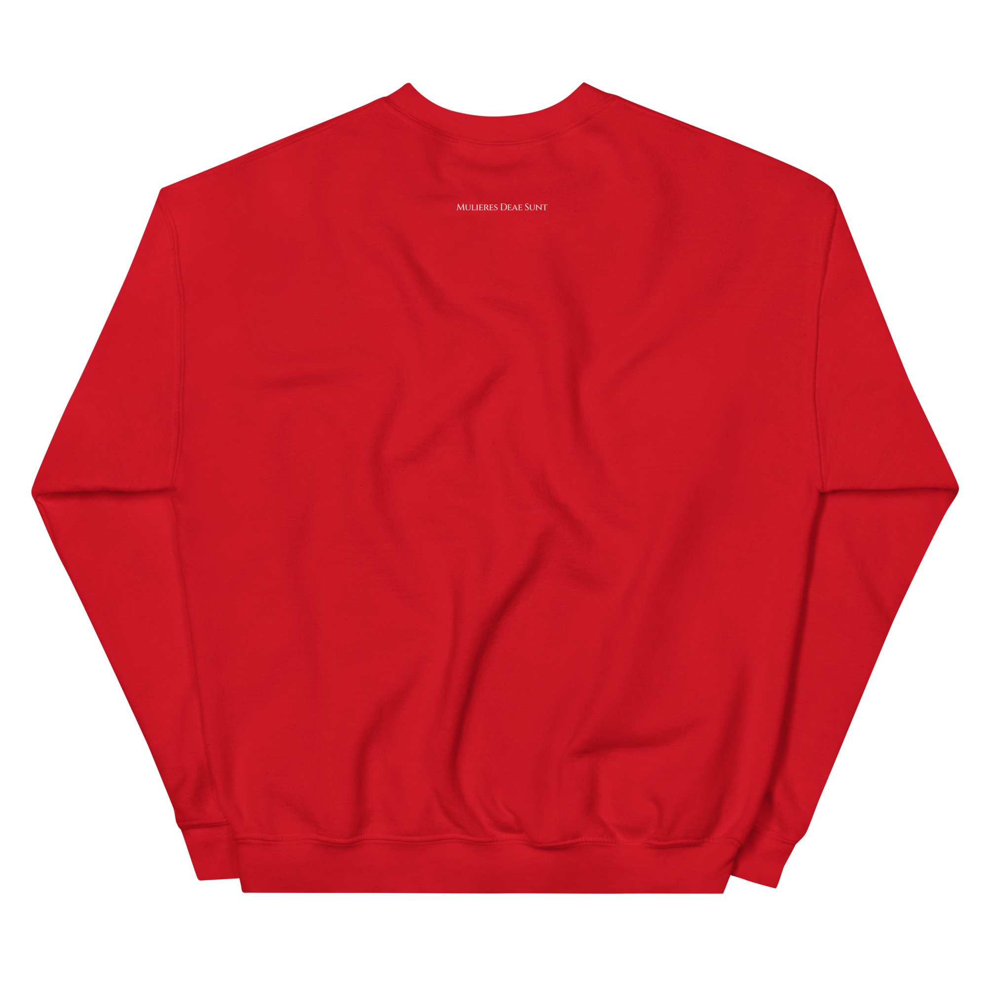 unisex-crew-neck-sweatshirt-red-back-685b27fa27366.jpg