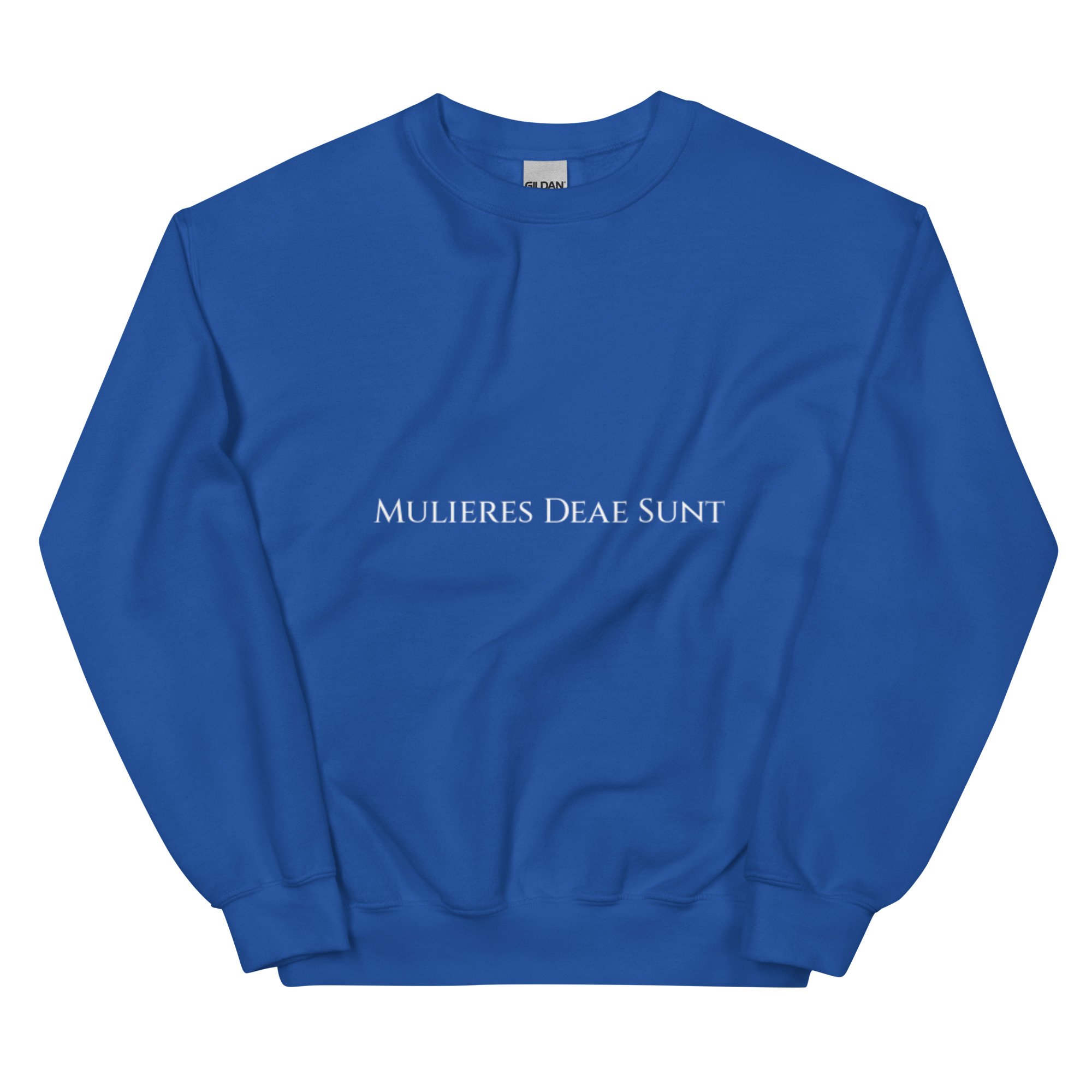 unisex-crew-neck-sweatshirt-royal-front-685b27fa30e5c.jpg