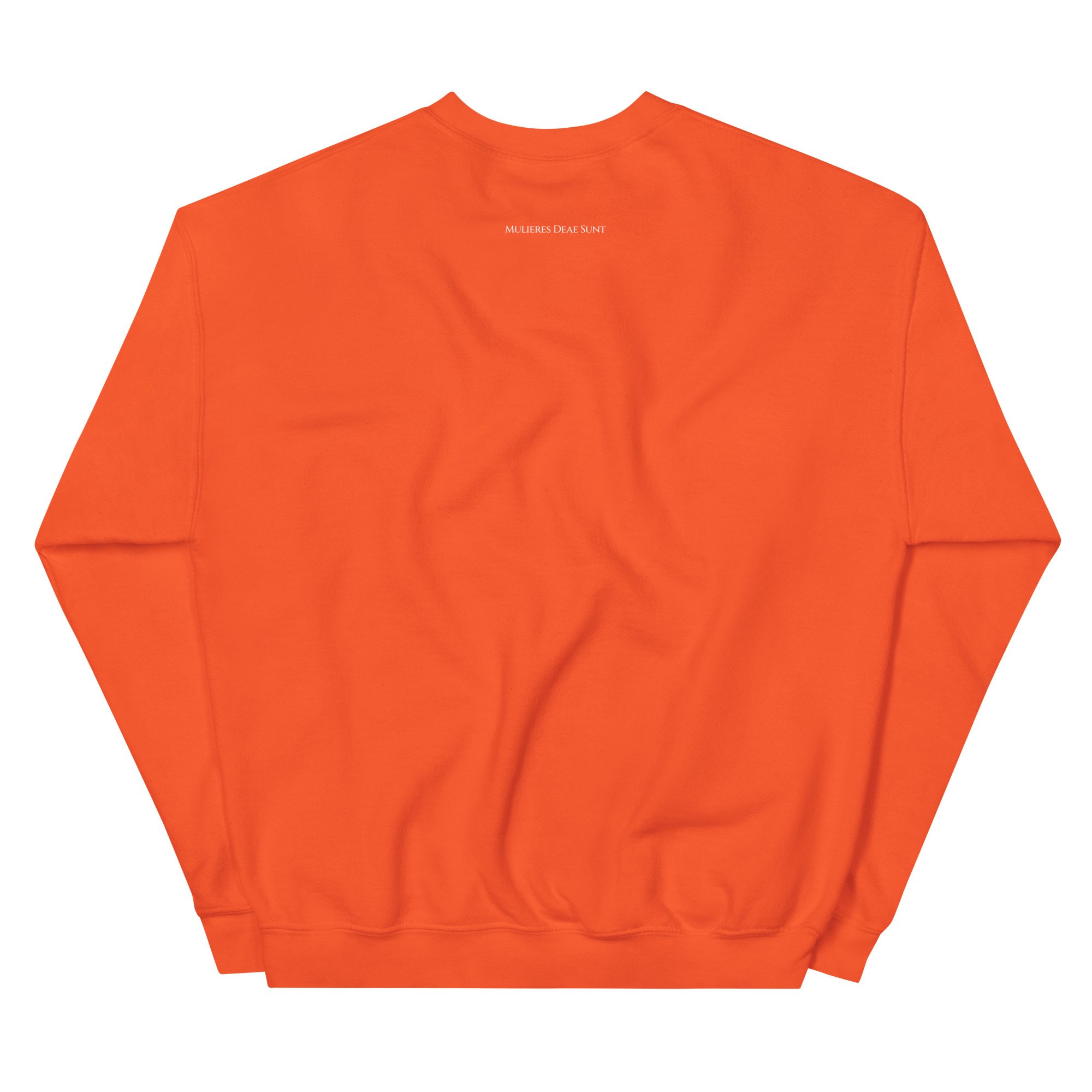 unisex-crew-neck-sweatshirt-orange-back-685b27fa99b9b.jpg