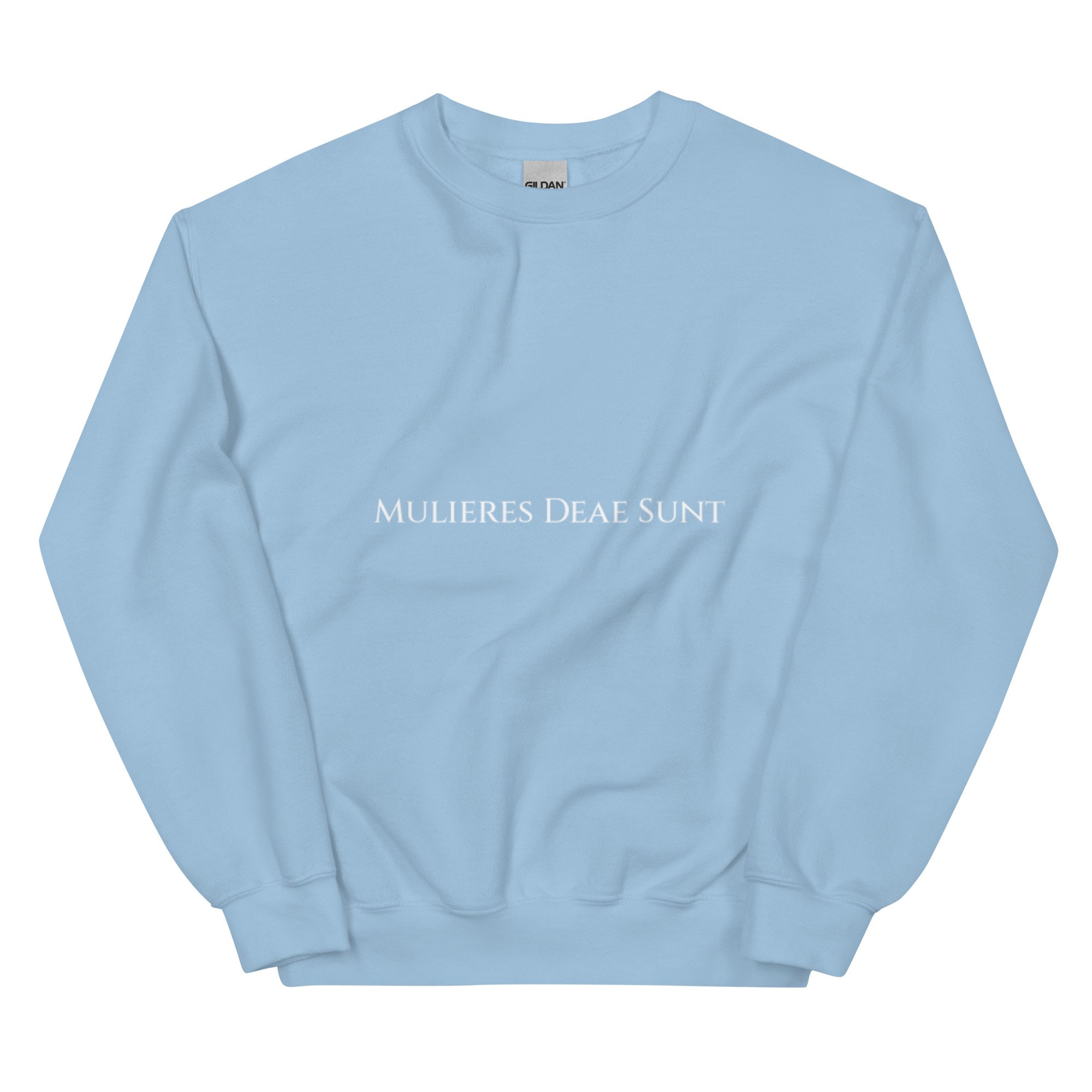 unisex-crew-neck-sweatshirt-light-blue-front-685b27fb027c8.jpg