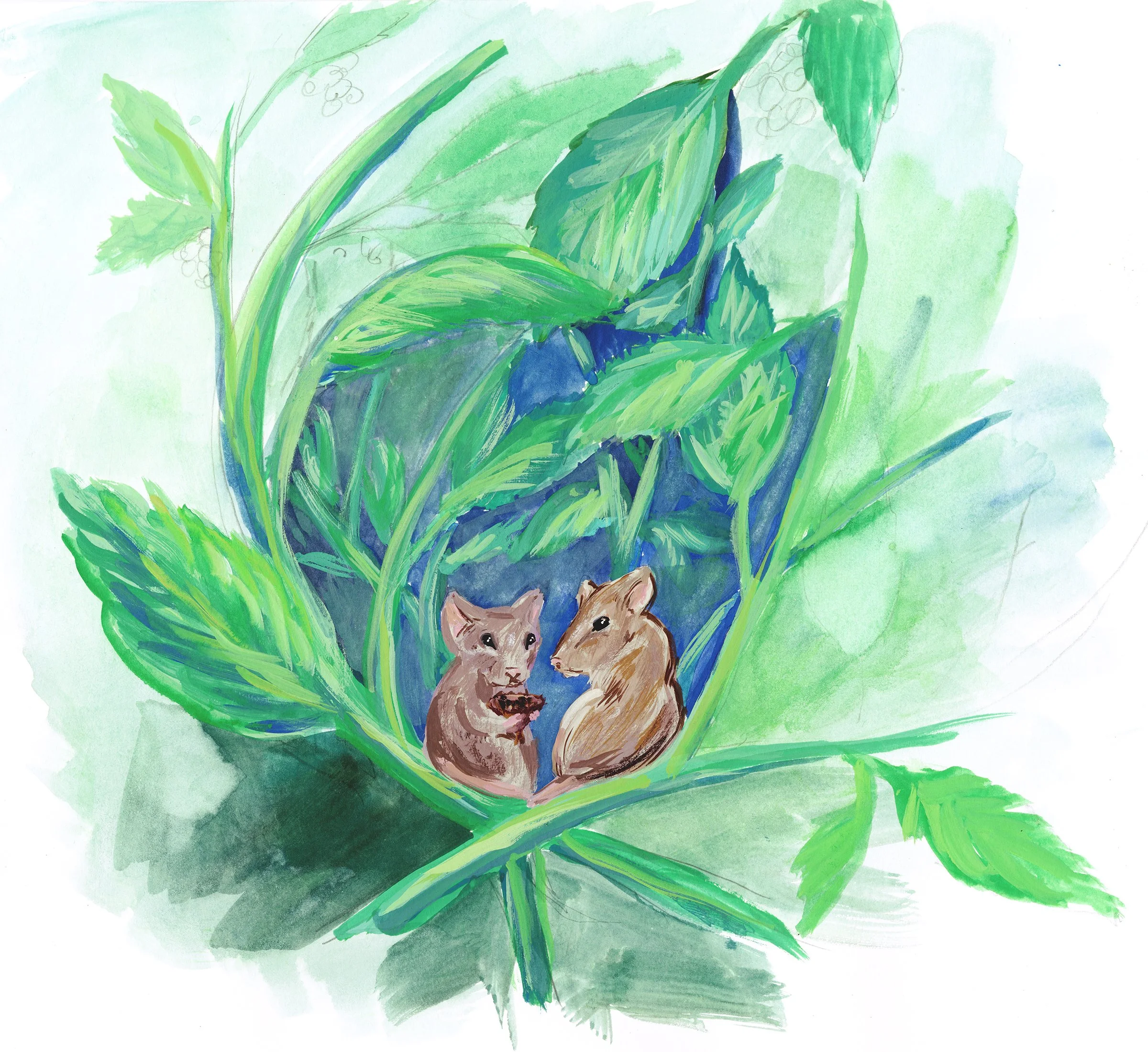 mouse+house+small.jpg