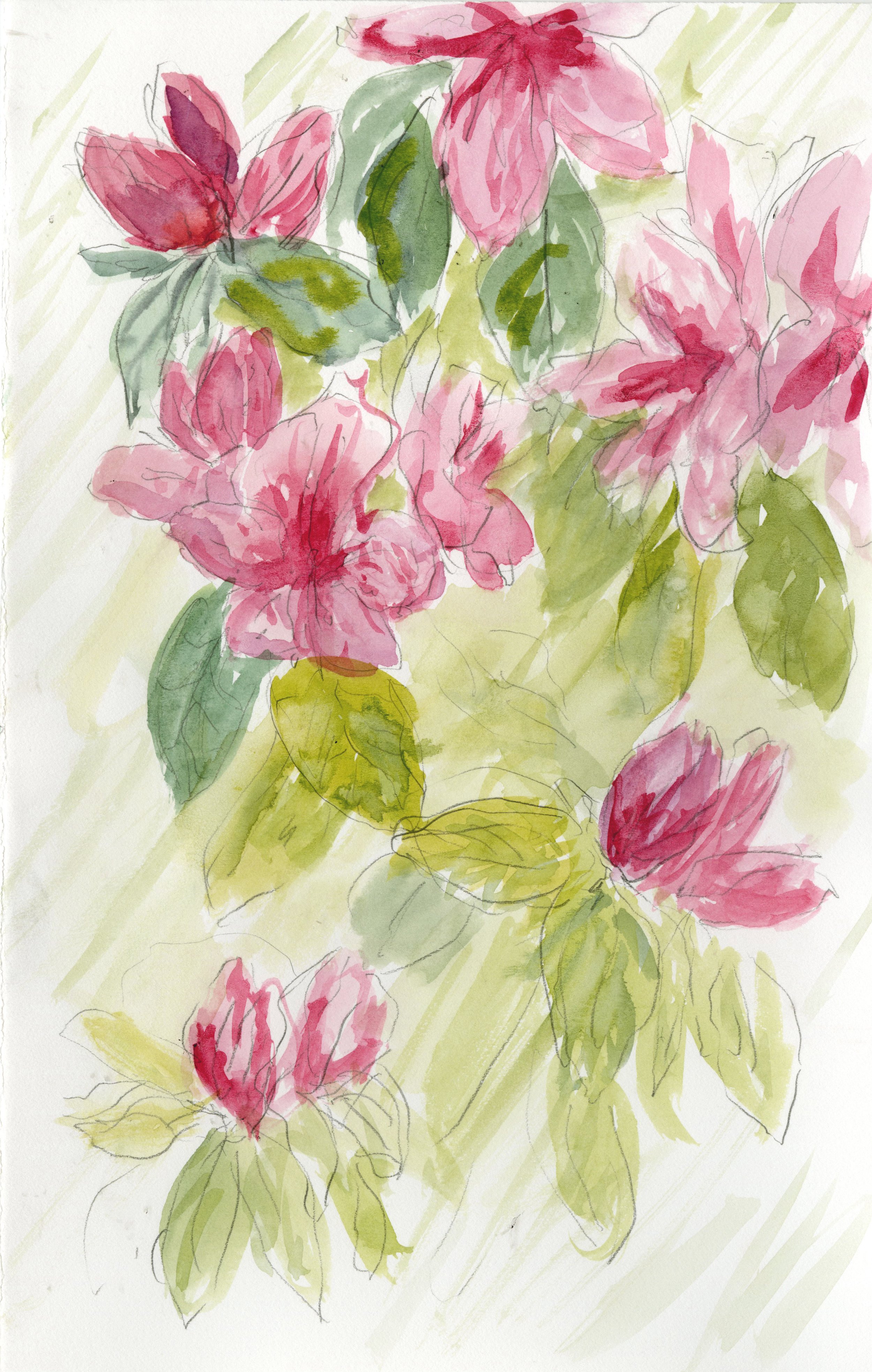 Azalea+Close.jpg