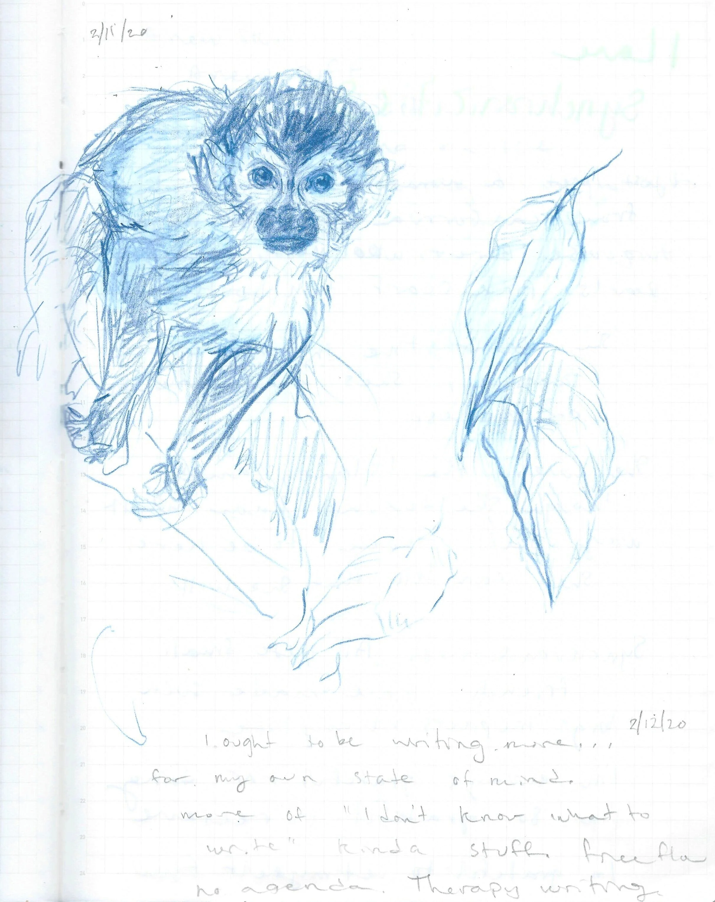 Monkey%2BBlue (1).jpg