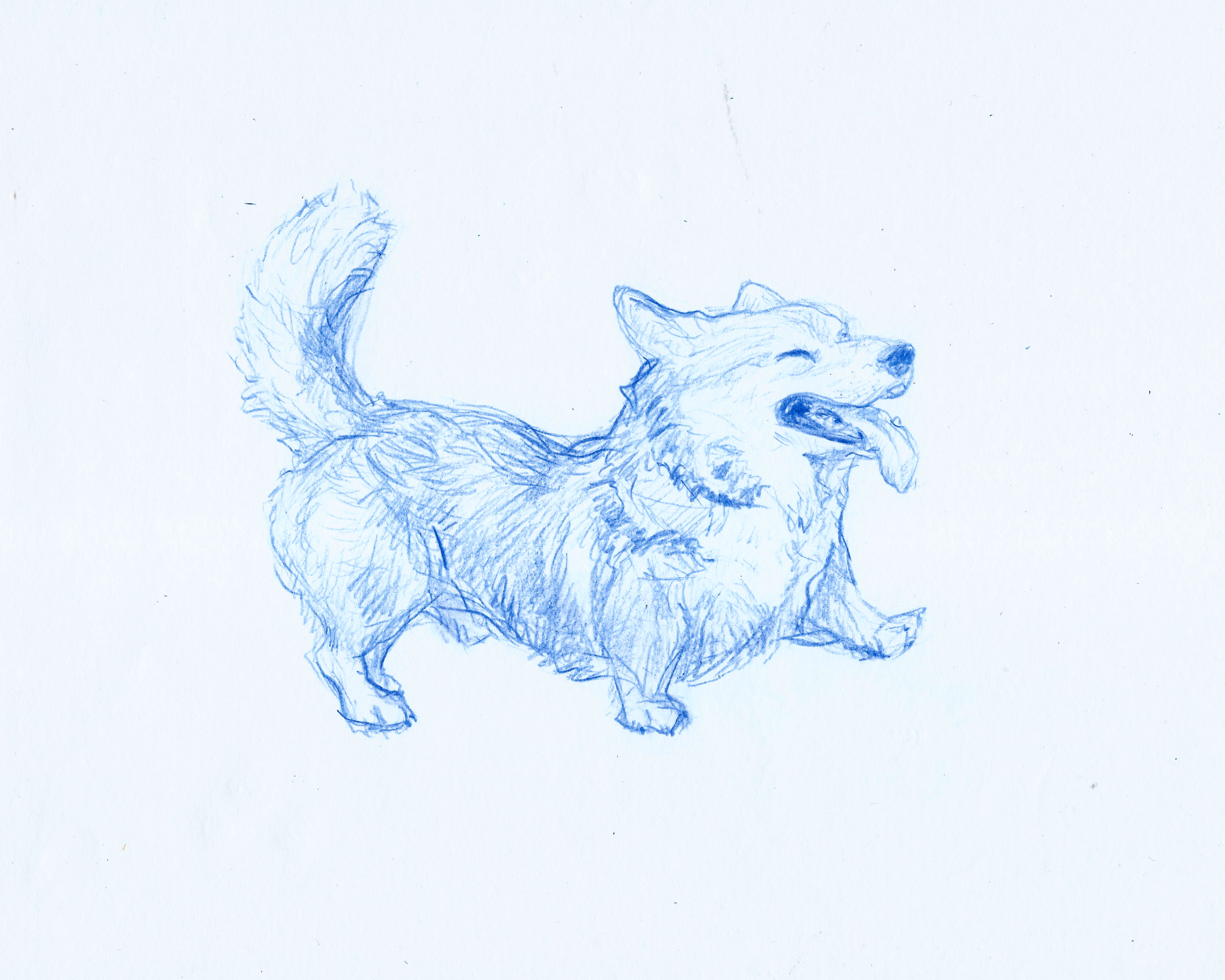 Corgi Walk.png