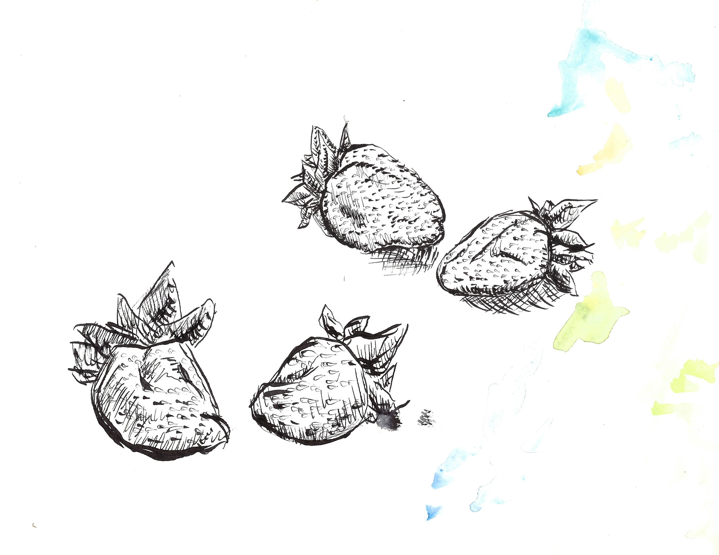 Strawberries+merge.jpg