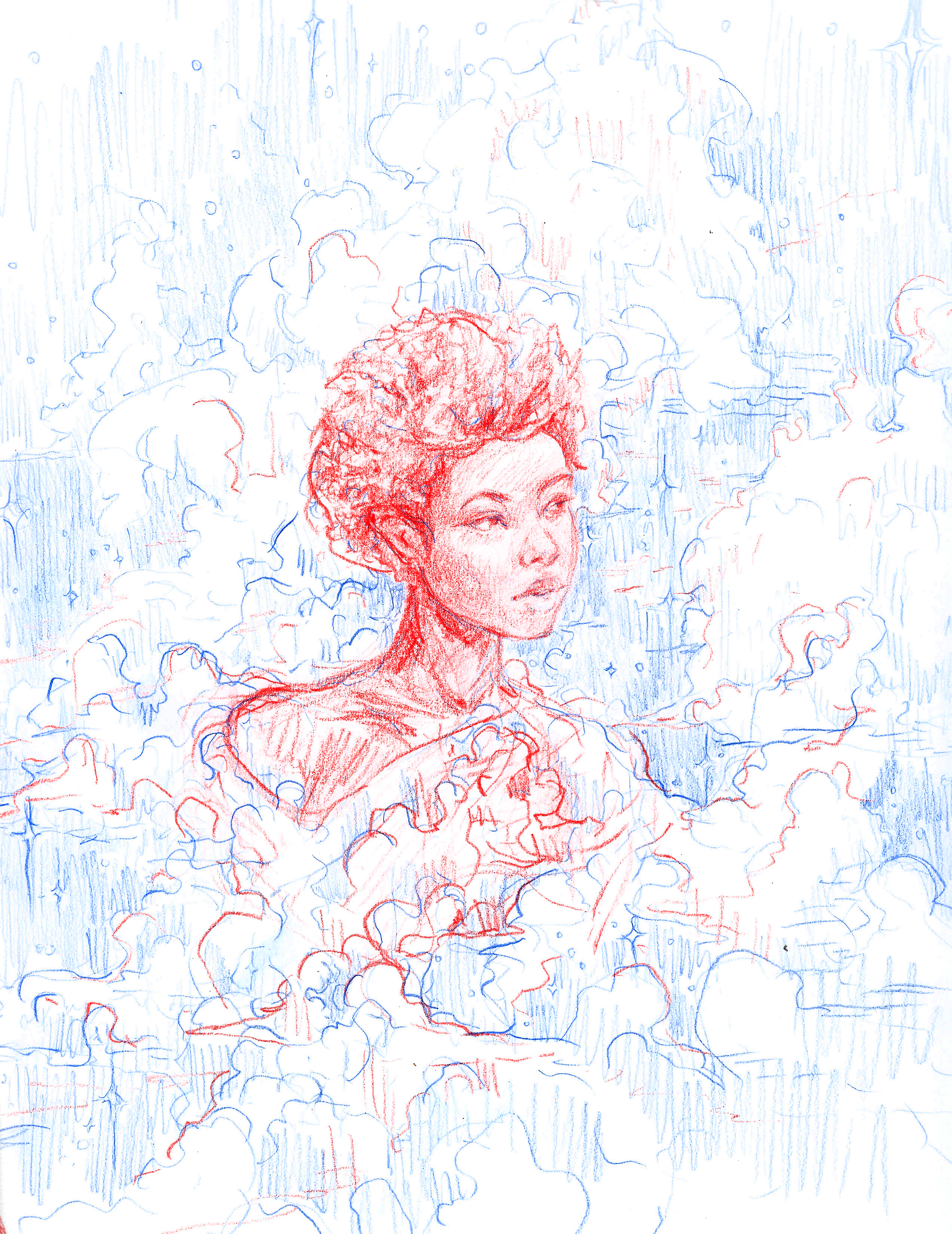 BlueRed_Cosmos_webready_2.png