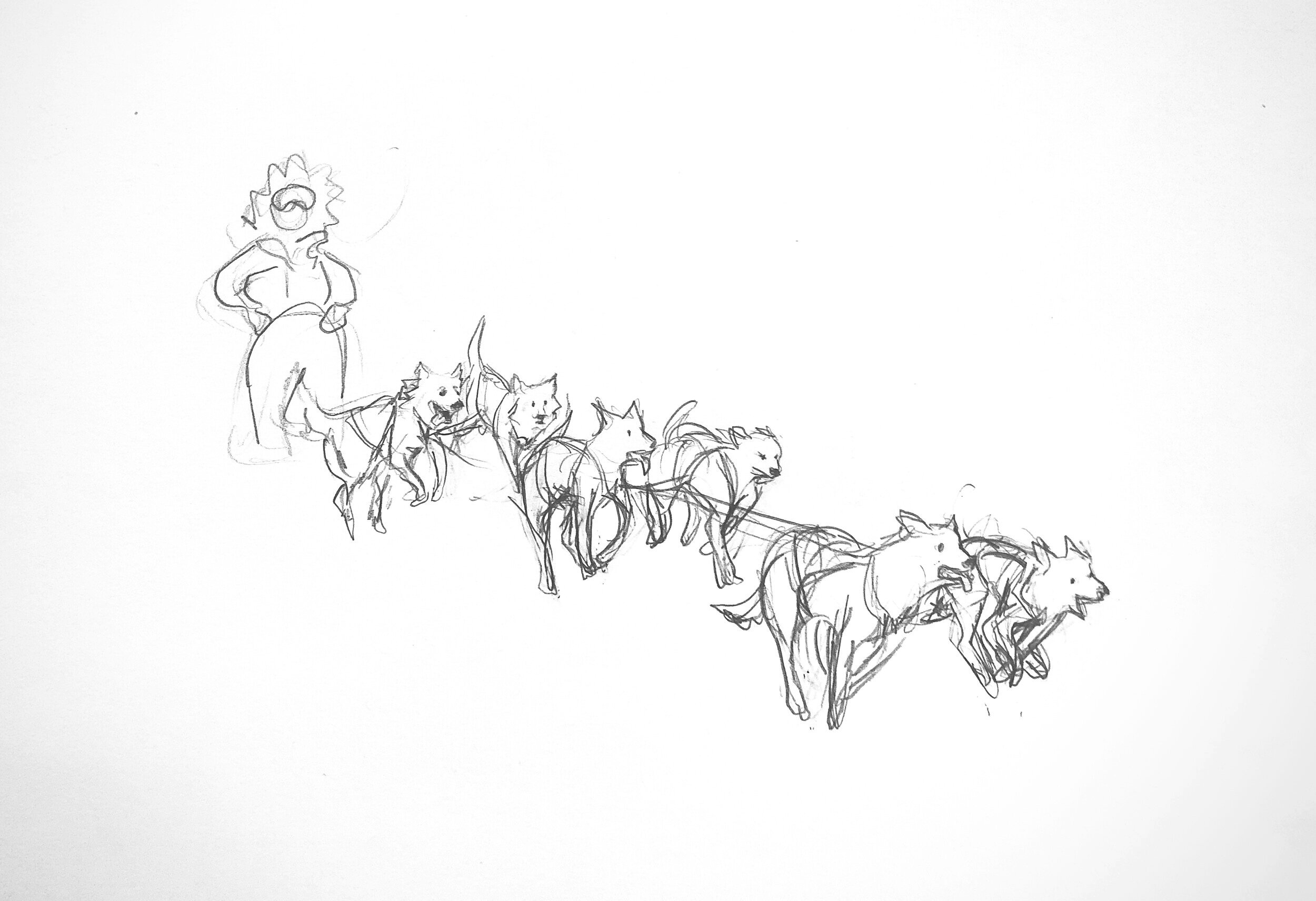 SledDogs+Run.jpg