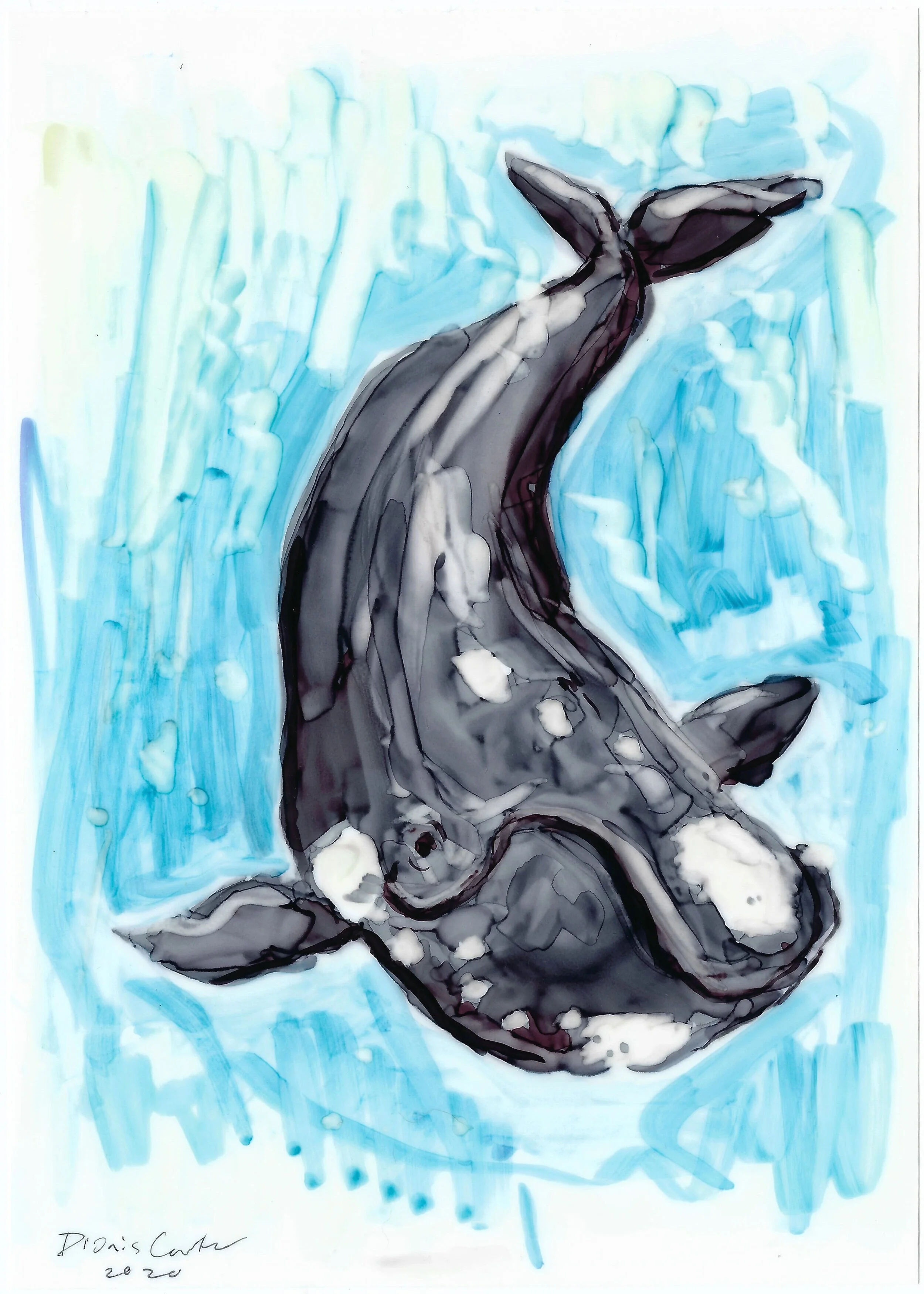 Marker_Whale.jpg