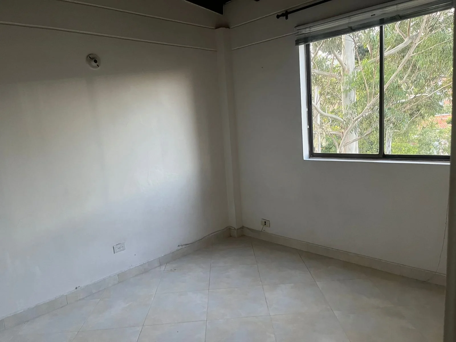 WhatsApp Image 2023-08-12 at 9.20.21 AM (3).jpeg