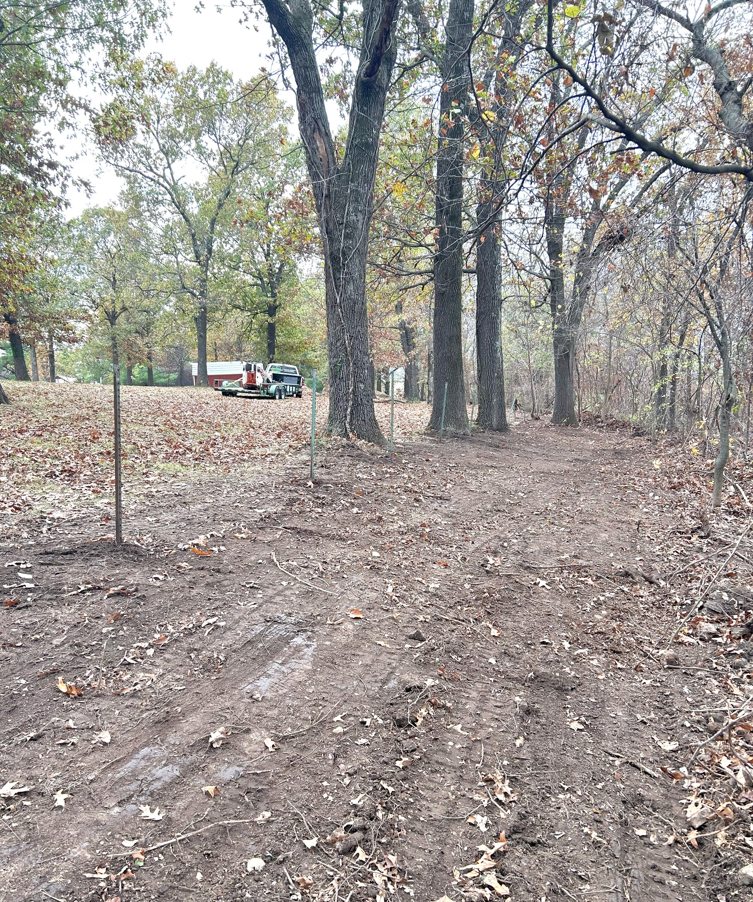 Overgrown fenceline encroaching the property line. Skid steer services got it cleared up and slicked off!