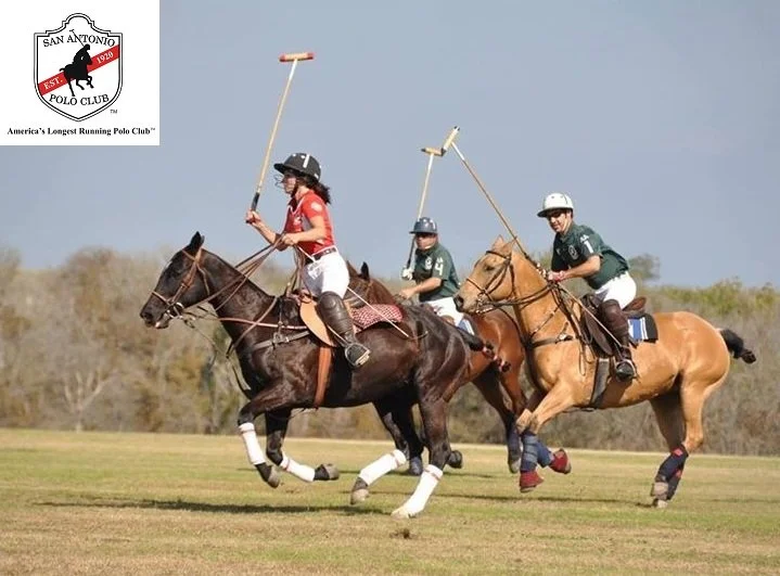 sapc-logo-and-polo-picjpg.jpg