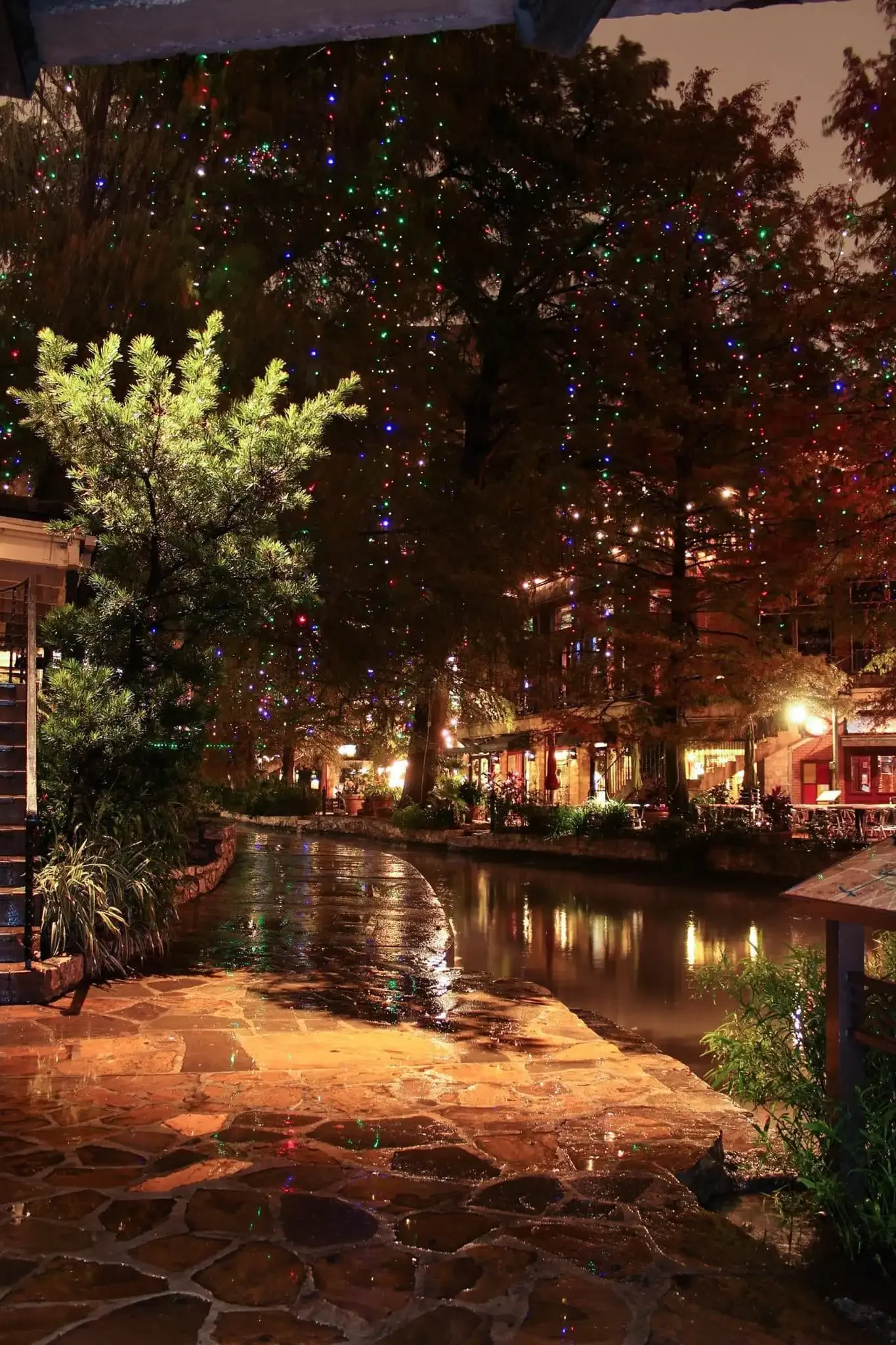 riverwalk-holidaylights-4.webp