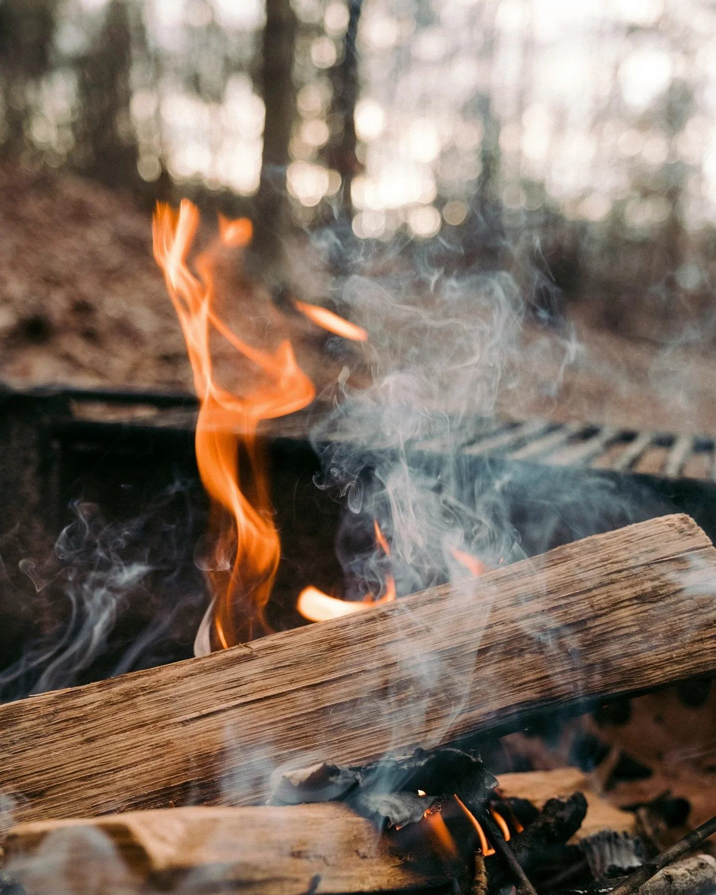 Camp. Shop. Explore. Stay.
.
Whether you&rsquo;re here to camp under the stars, shop local, meet the herd, or enjoy a tour &mdash; there&rsquo;s something for everyone at Foxtrot Dairy. Stay tuned for more! 🌄🐄🍦
.
.
#CampgroundLife #FarmCamping #Un