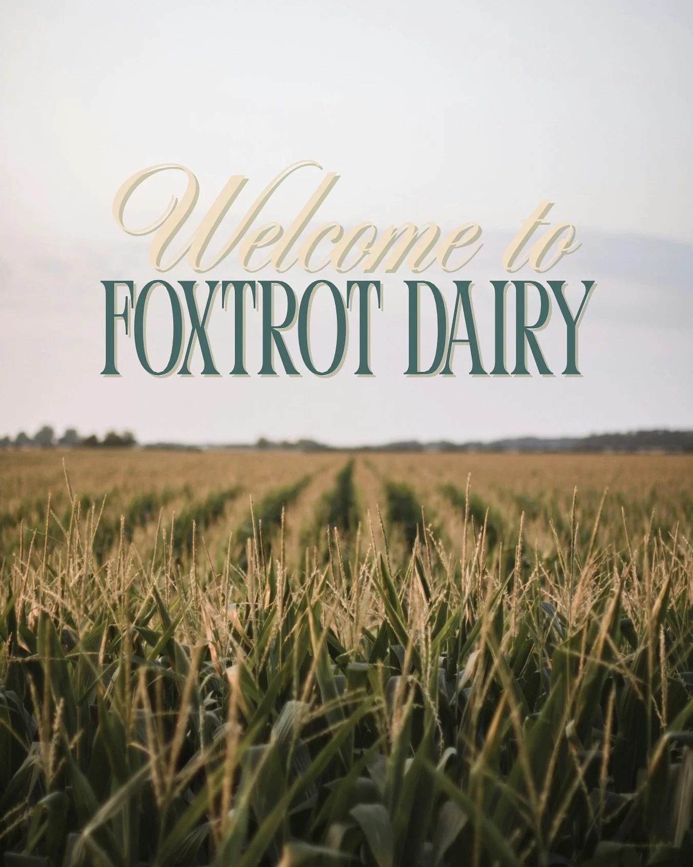 🐄We&rsquo;re Foxtrot Dairy 🥛 
&mdash; a family-run farm in Enderby, BC, where the cows are friendly and the views never disappoint. 
.
Follow along for a peek behind the barn doors: farm life, camping, local goods &amp; more. #WelcomeToFoxtrot
.
.
