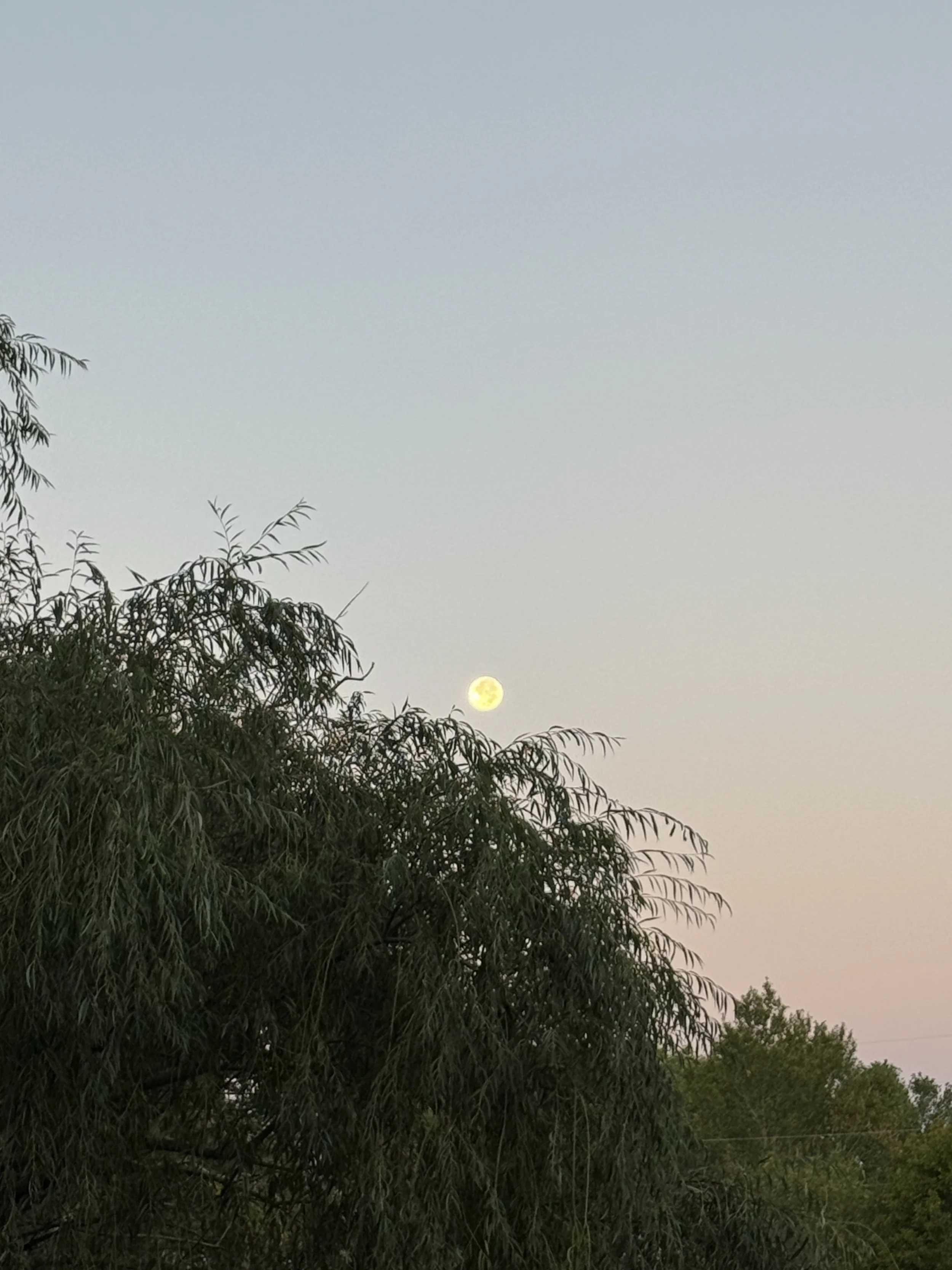 IMG_0383 2.JPG