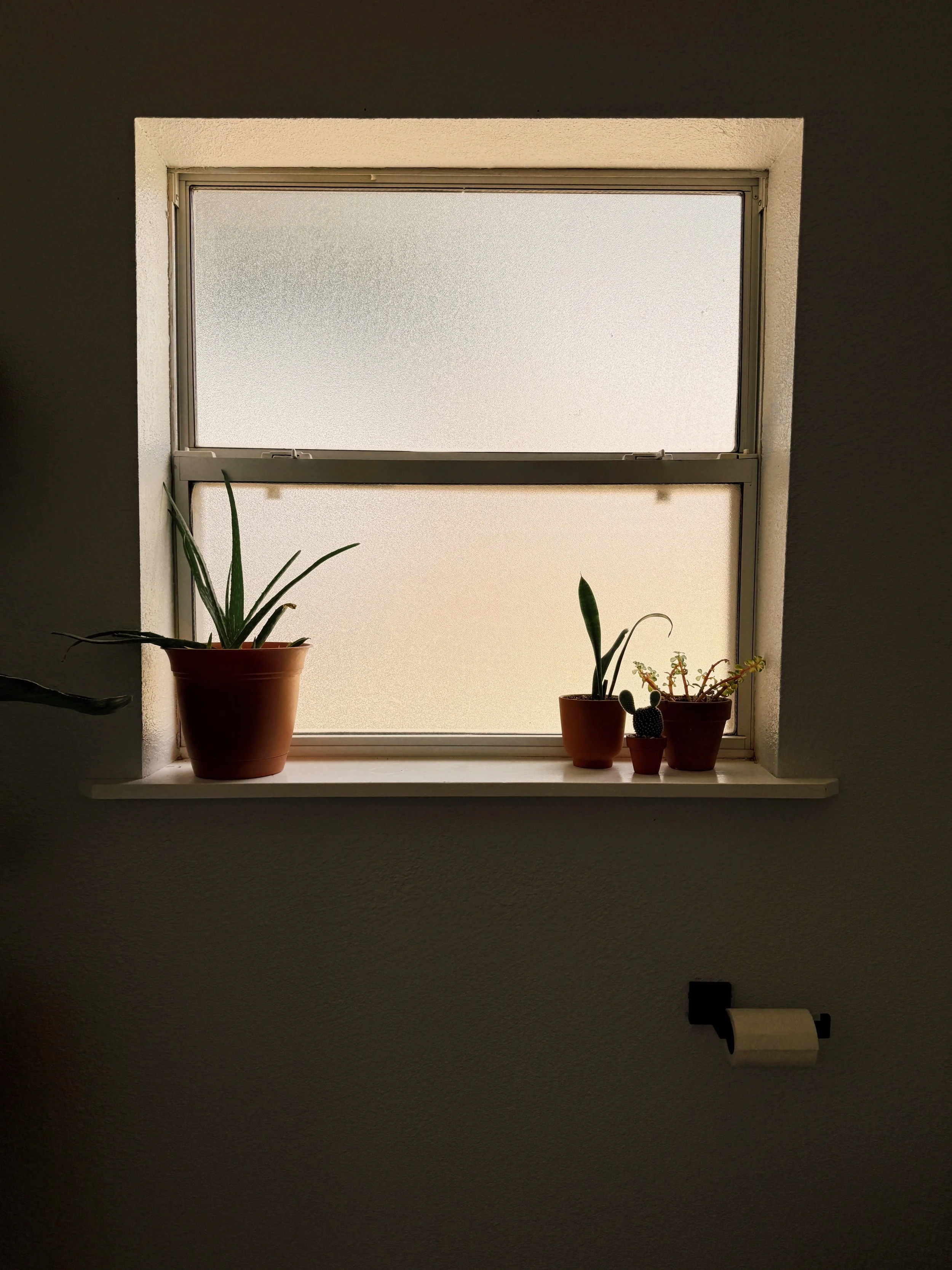 ACS_4642.JPG