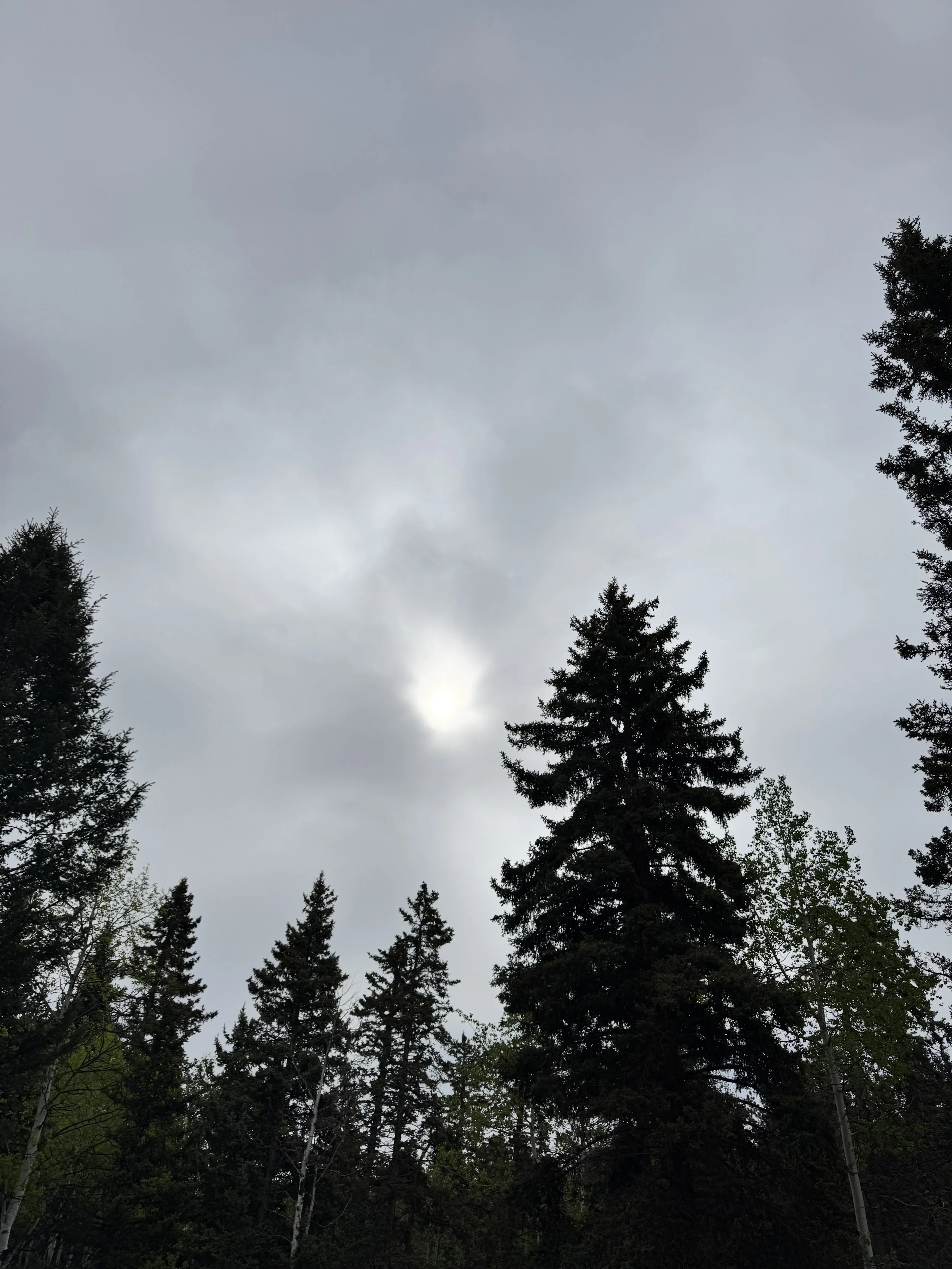IMG_5168.jpeg