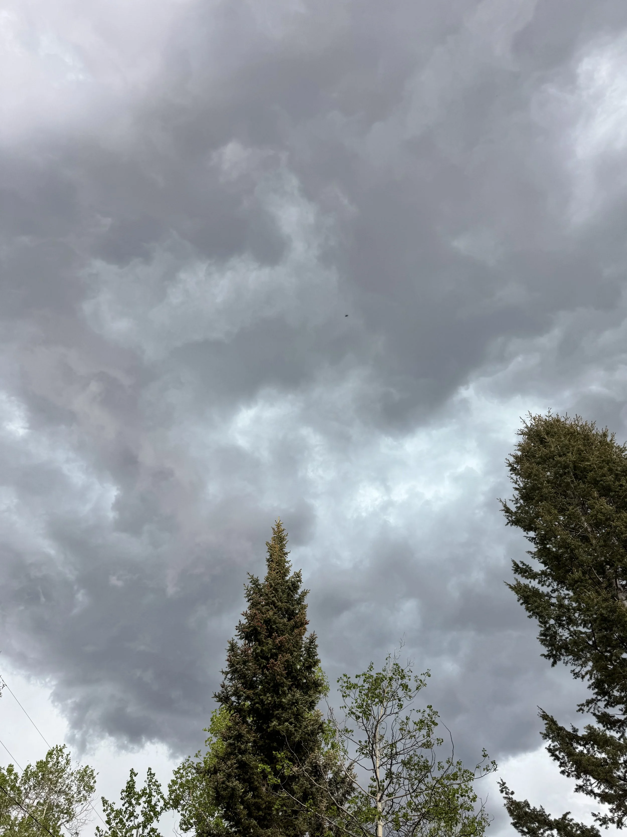 IMG_5154.jpeg
