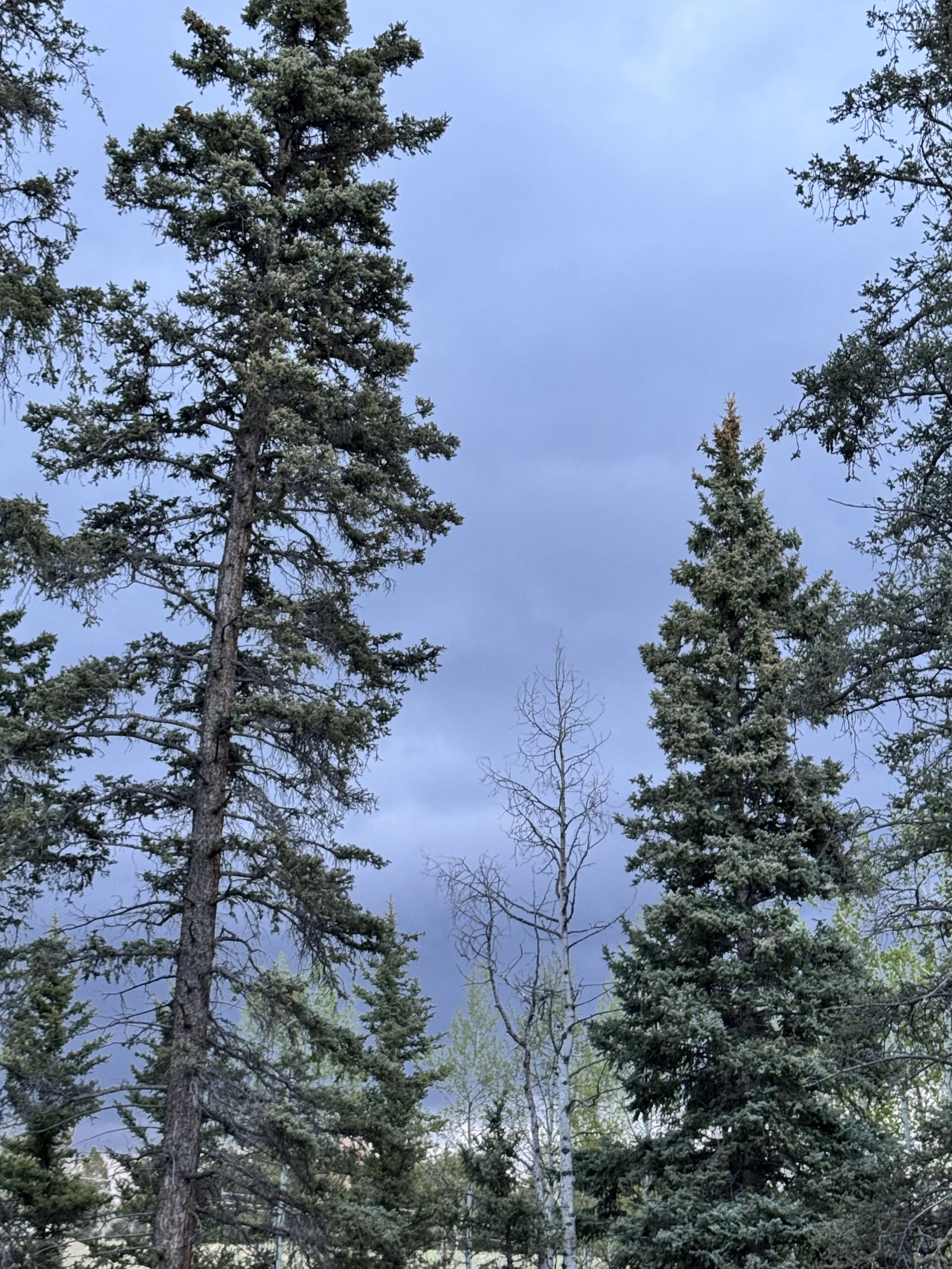 IMG_5049.jpeg