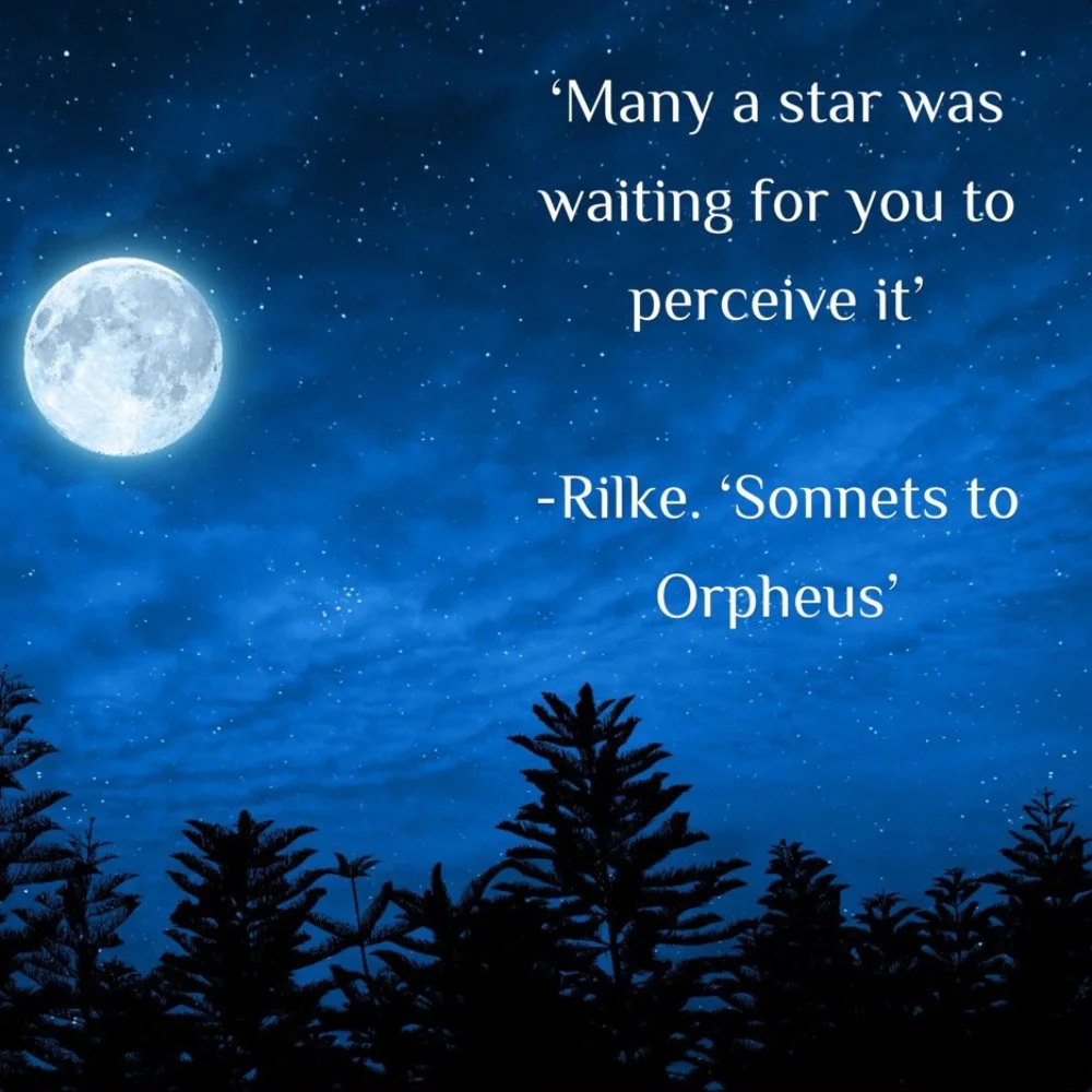 One to One Enneagram