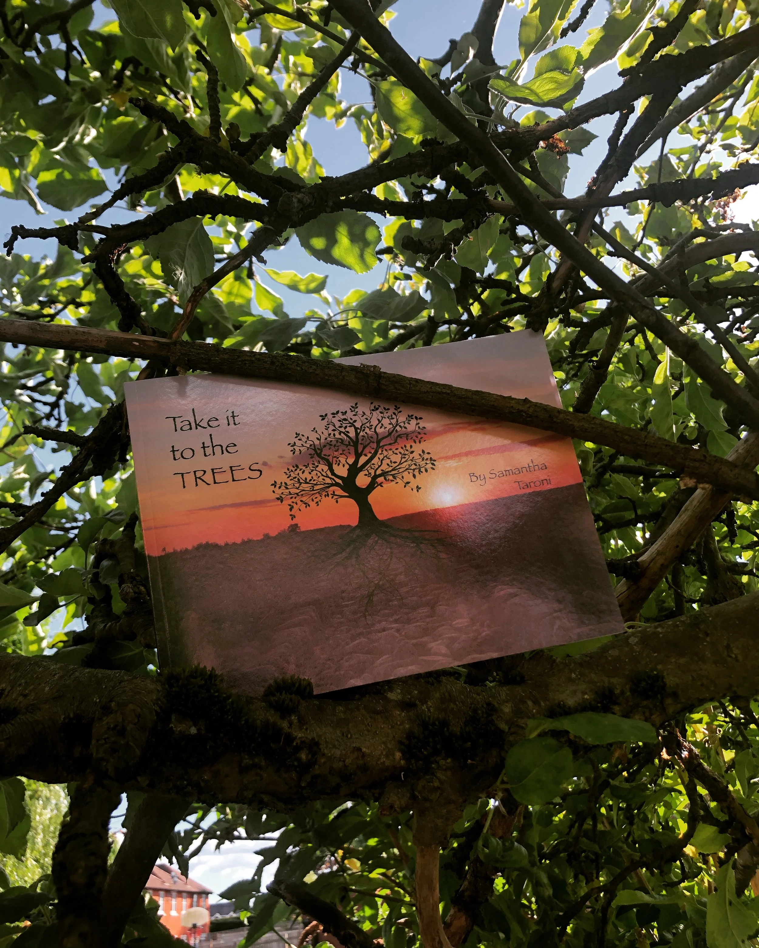 A brochure titled 'Take it to the TREES' by Samantha Taroni is placed on a tree branch among green leaves. The brochure features a tree silhouette against a sunset sky.