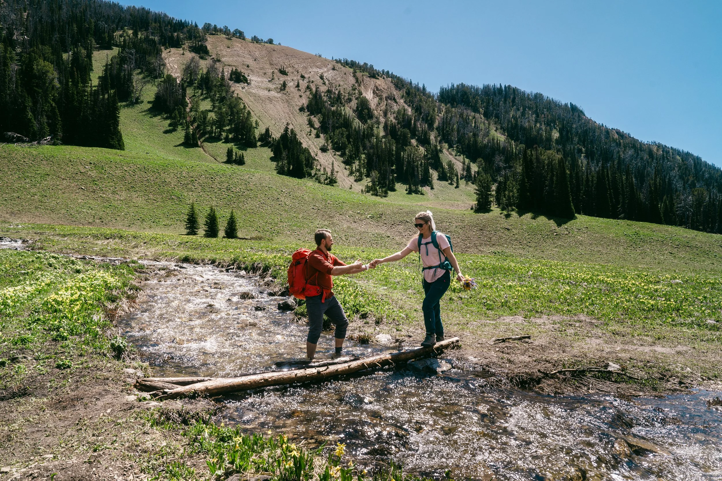 A D by __Meadia-229.jpg