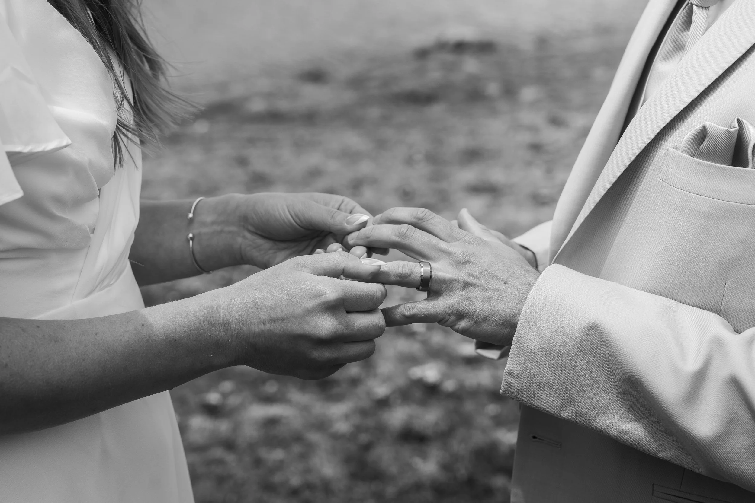 A D by __Meadia-313.jpg