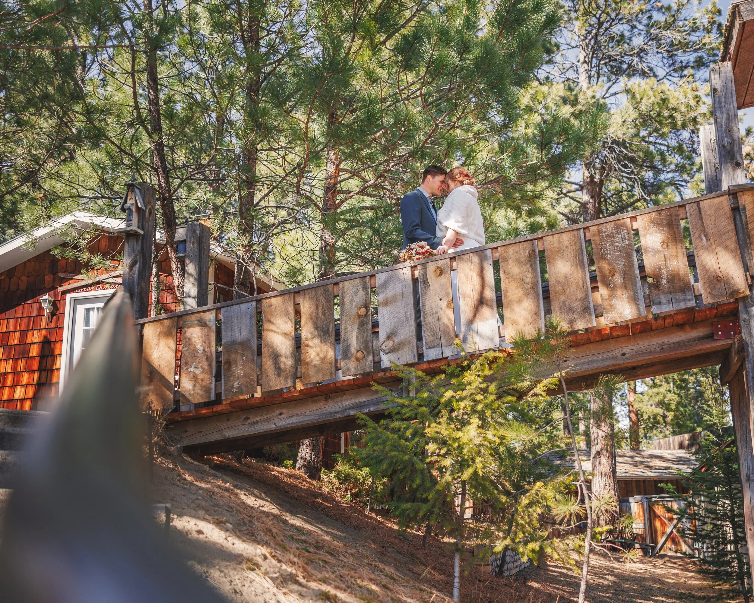 Abi and Shane: The Perfect Montana Wedding