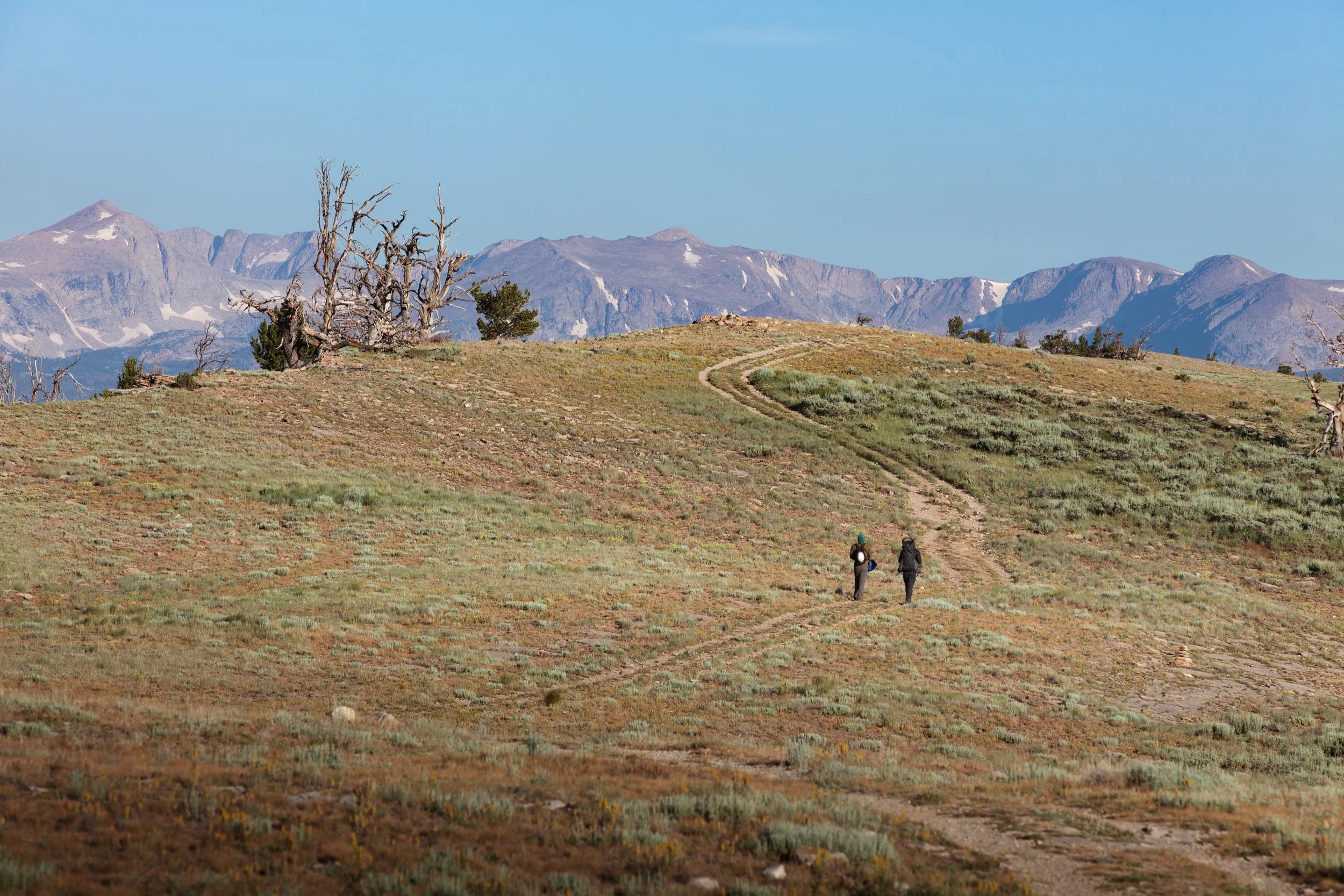 Two hikers walking on a trail across an open, grassy hillside with distant mountains and a clear blue sky in the background.