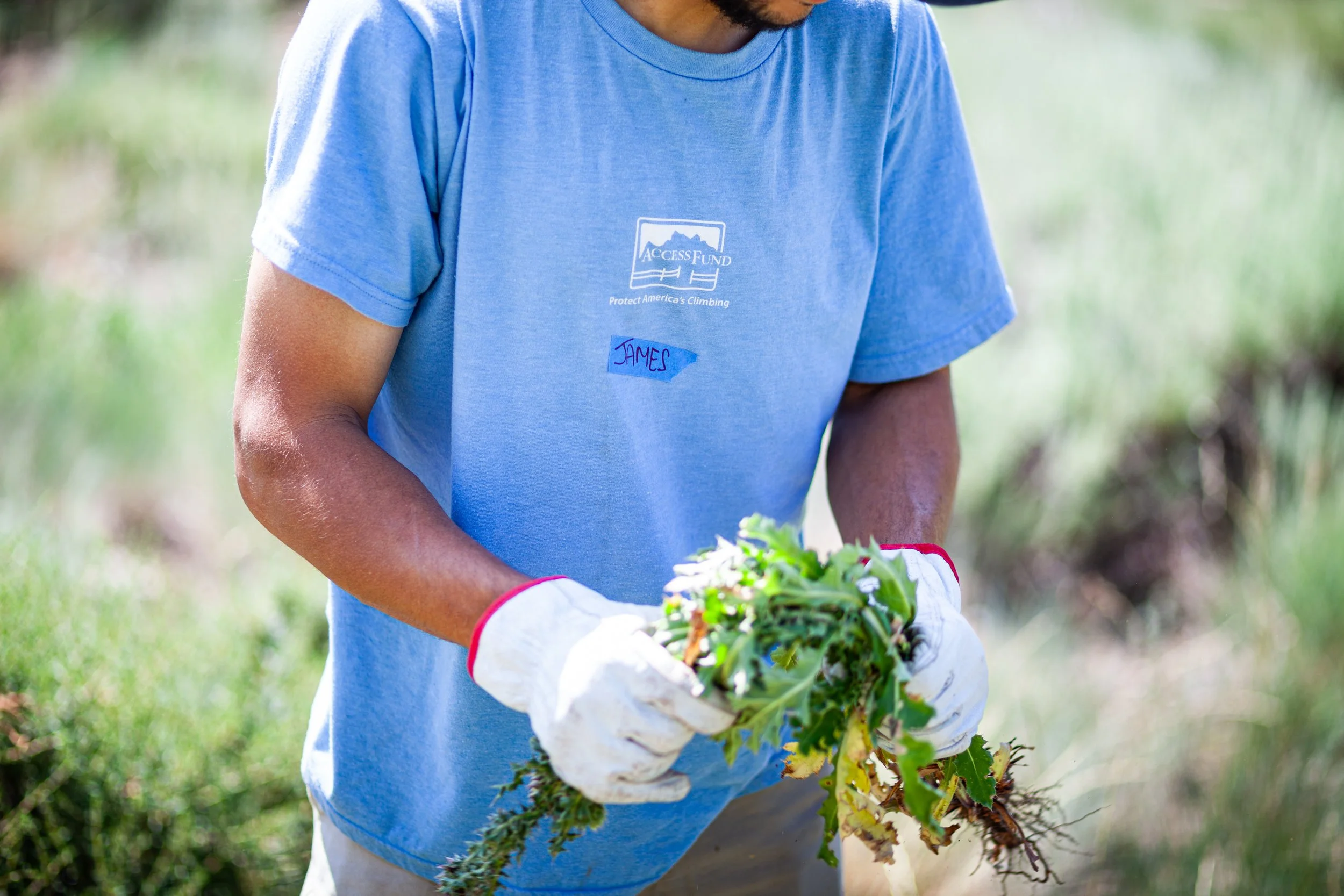 A person wearing a blue t-shirt with a name tag labeled 'James' is holding a bunch of freshly pulled weeds with roots, wearing white gloves. The person is outdoors in a grassy area.