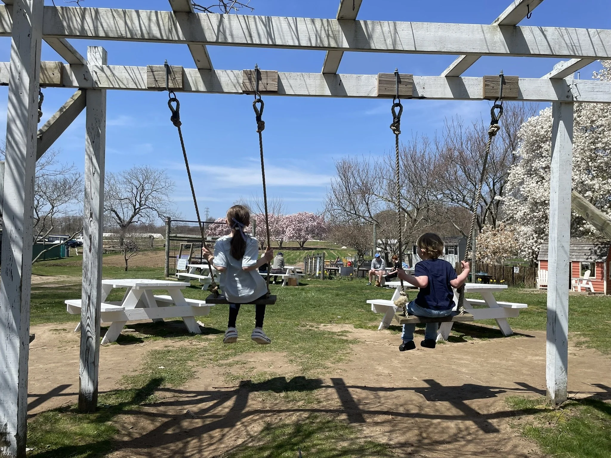Kids on the swing