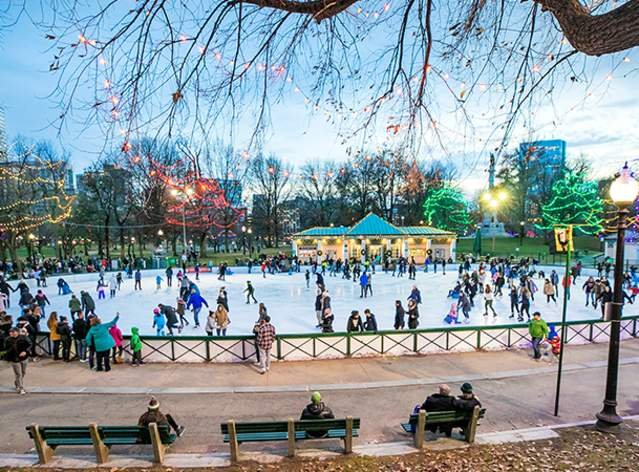 Frog Pond during Winter