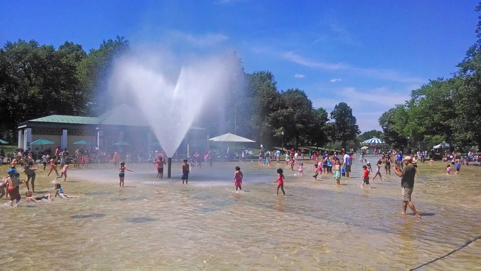 Frog Pond during warm weather