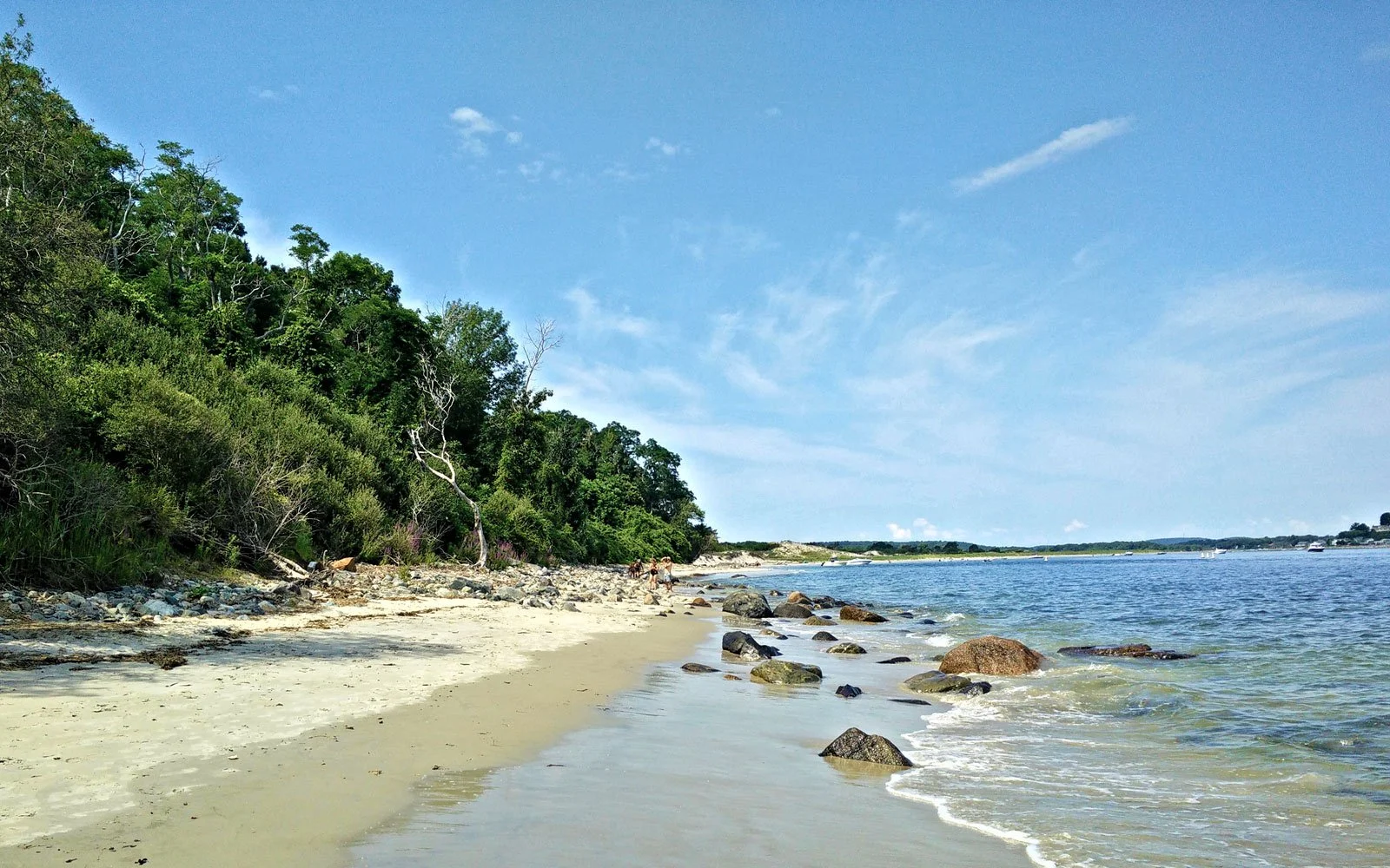 Crane beach view