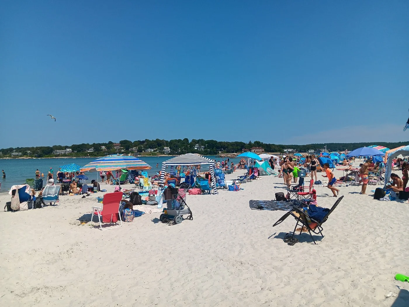 Busy day at Wingaersheek Beach