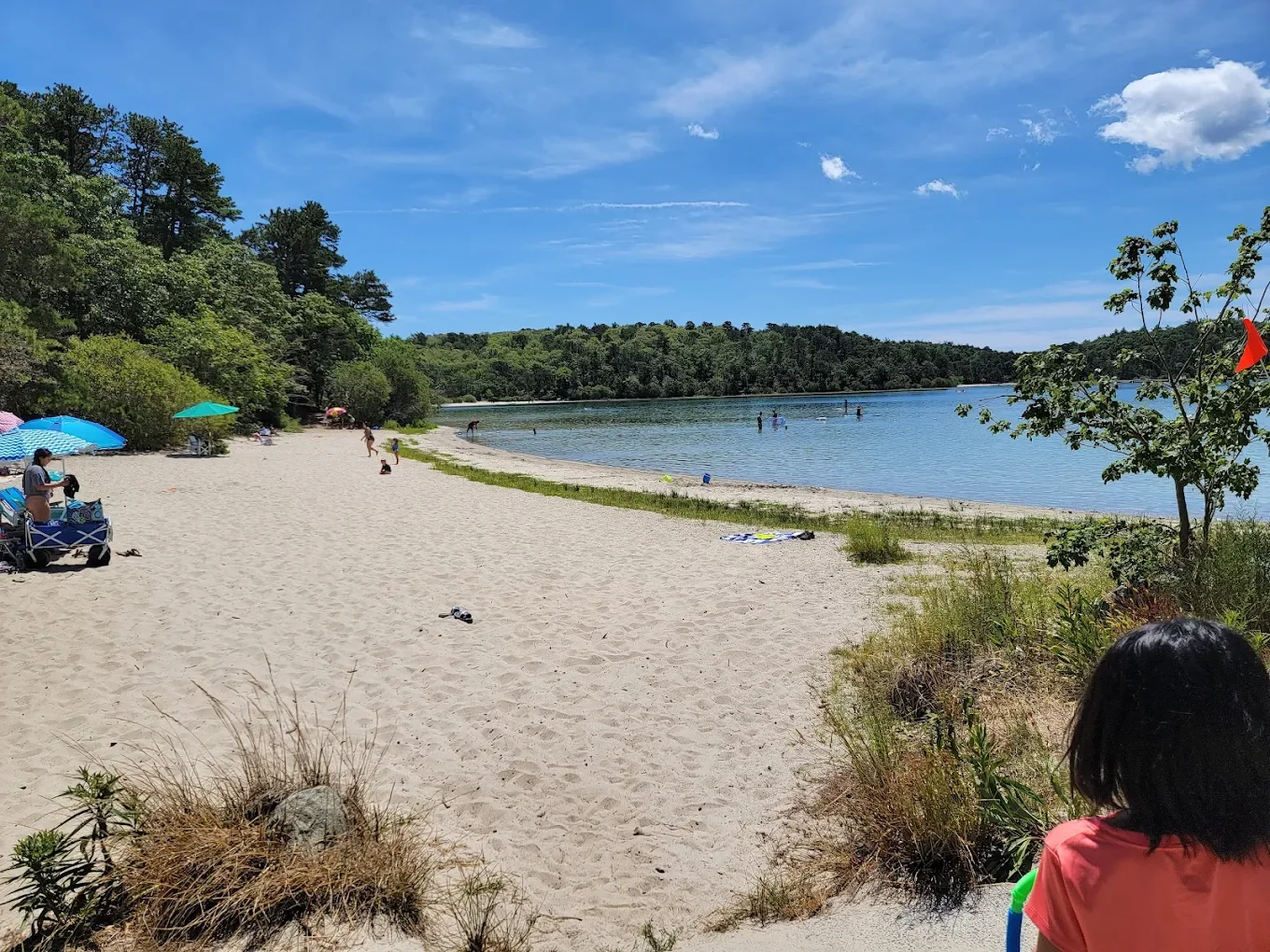Cliff Pond