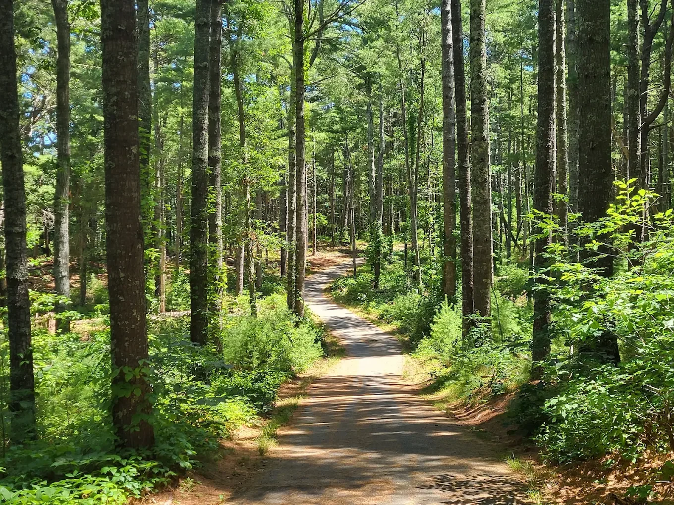 Bike Trails