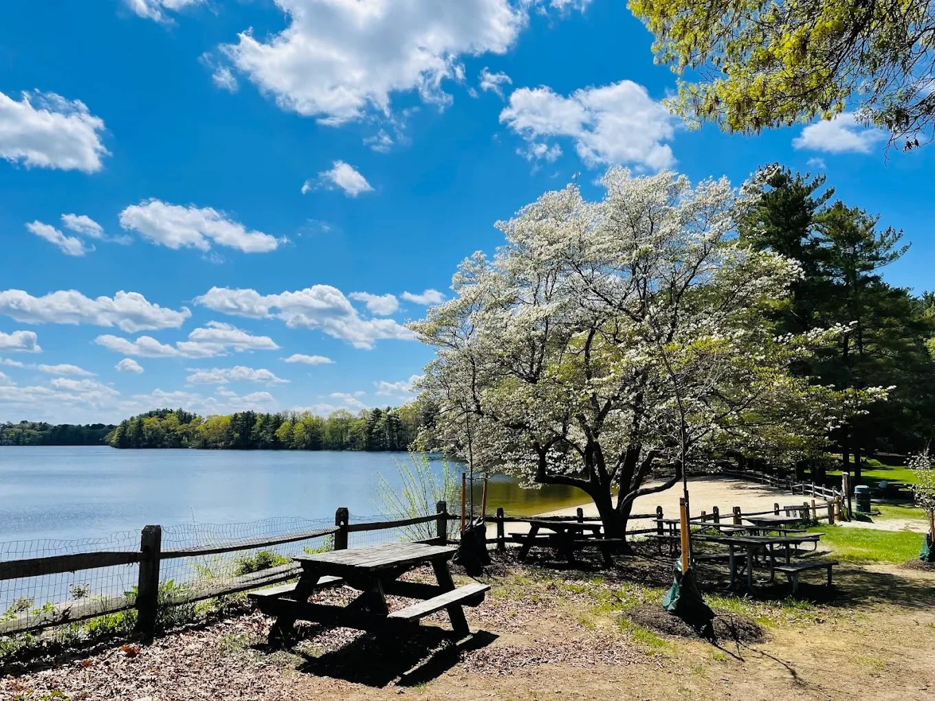Picnic spots