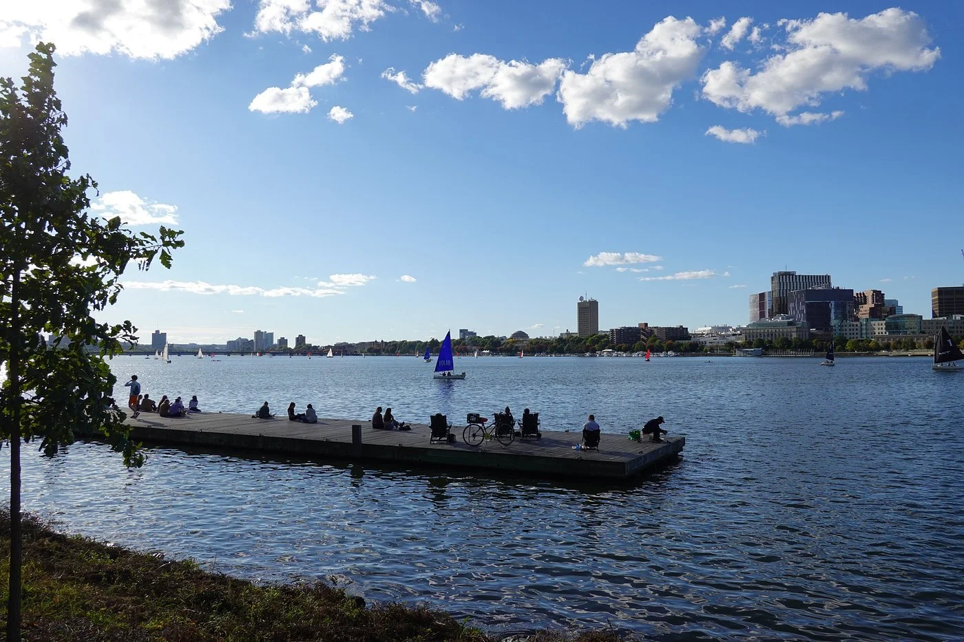 A wooden dock on the Charles River Esplanade in Boston, Massachusetts