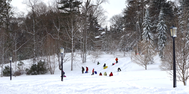 People sledding on a snowy hill at the Arnold Arboretum of Harvard University