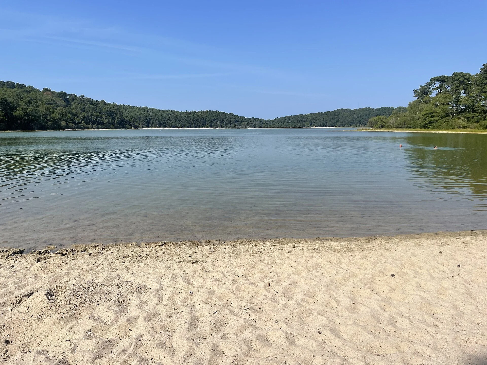  Pond in Cape Cod’s Nickerson State Park