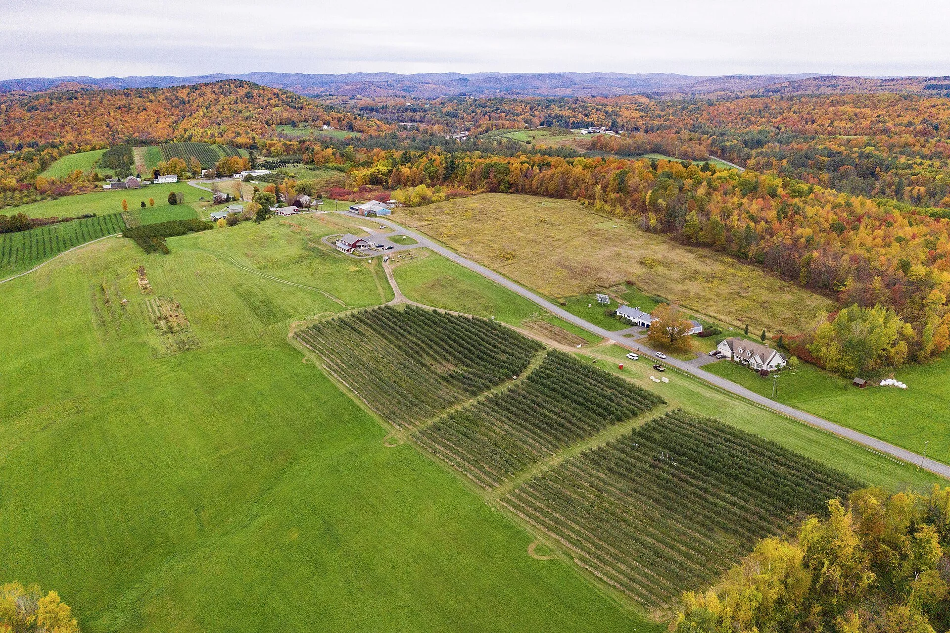 Aerial view of Apex Farm apple orchards in Shelburne, Massachusetts