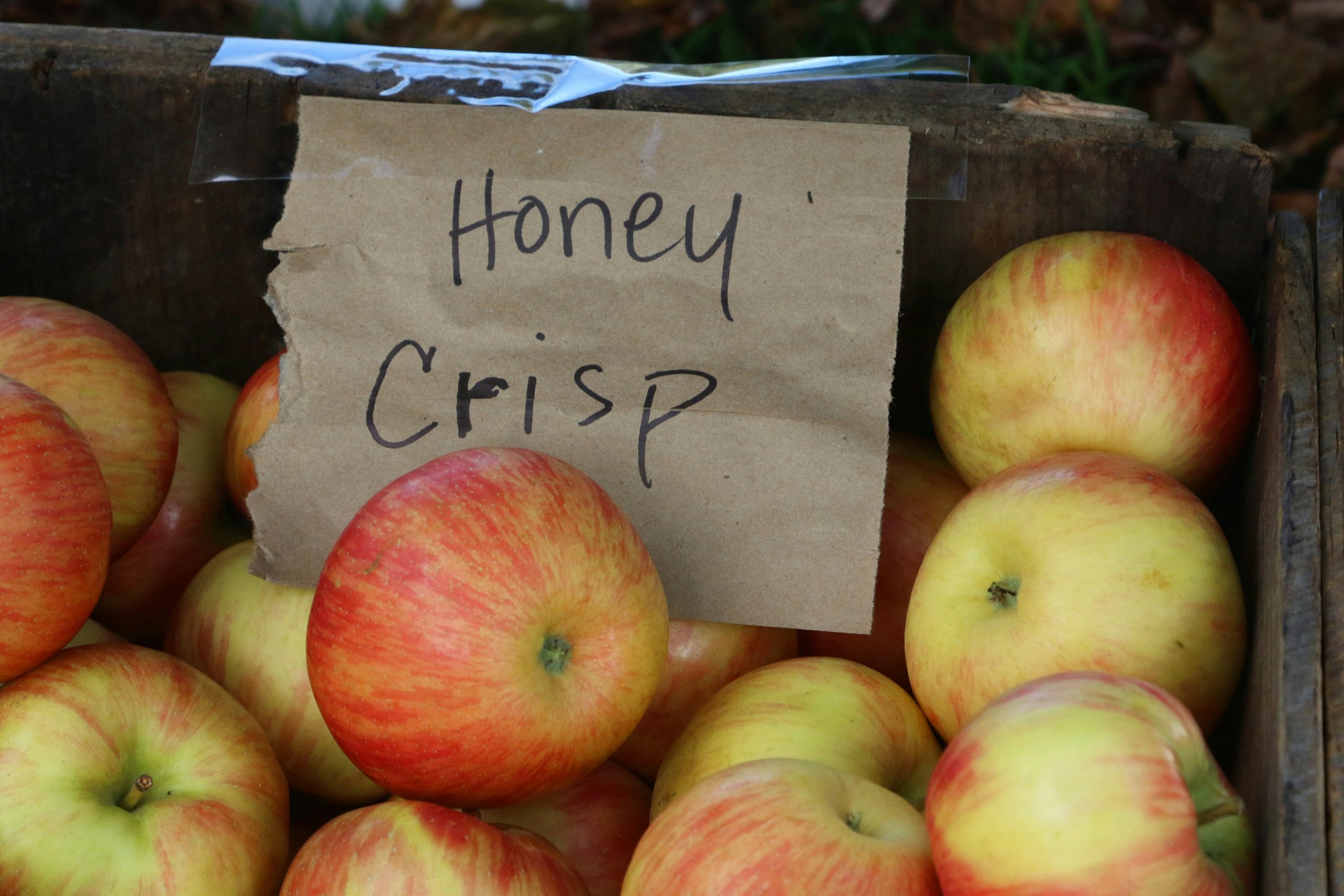 A wooden crate filled with red and yellow Honeycrisp apples