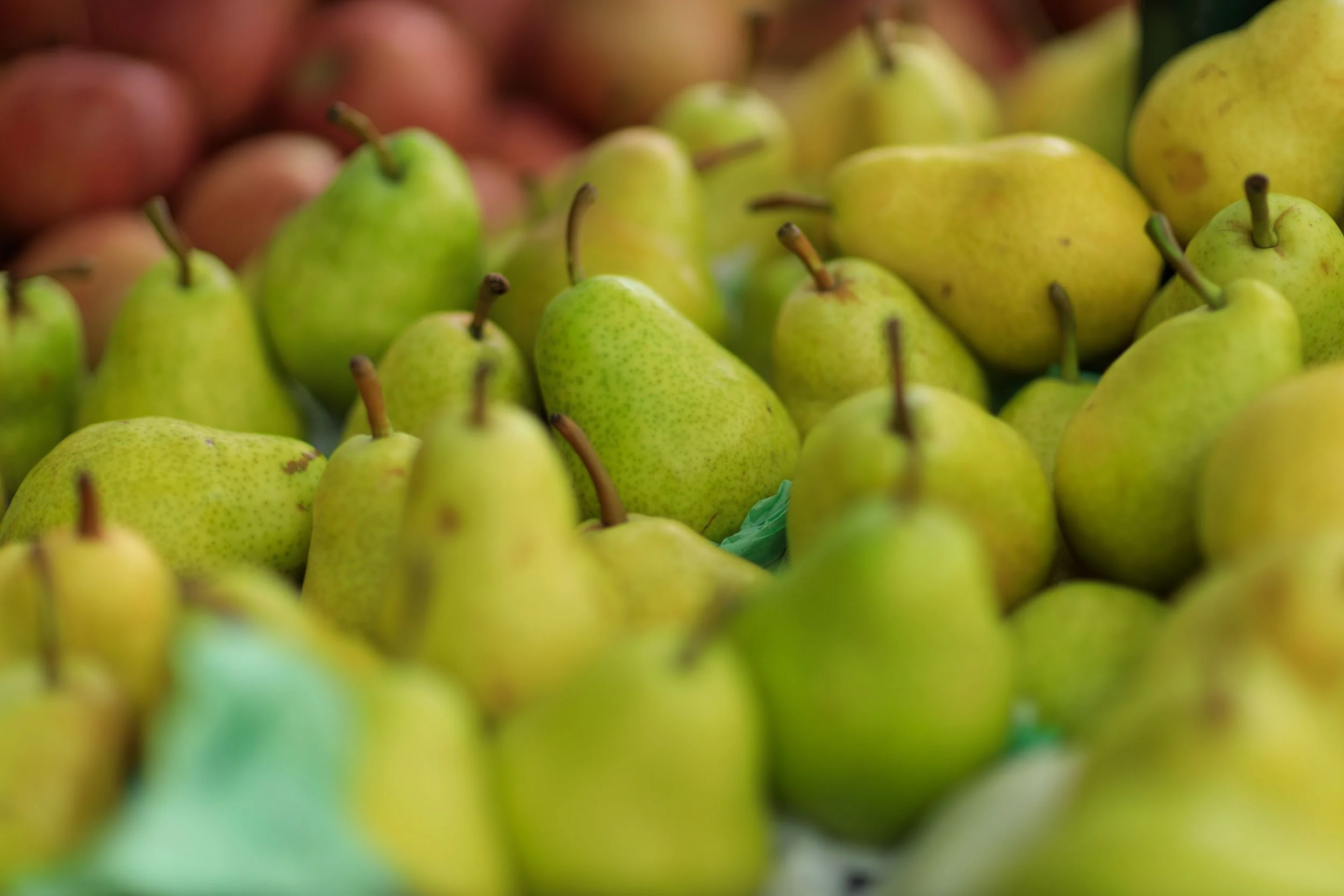 Large display of fresh, light-green and yellow pears piled closely together at a market