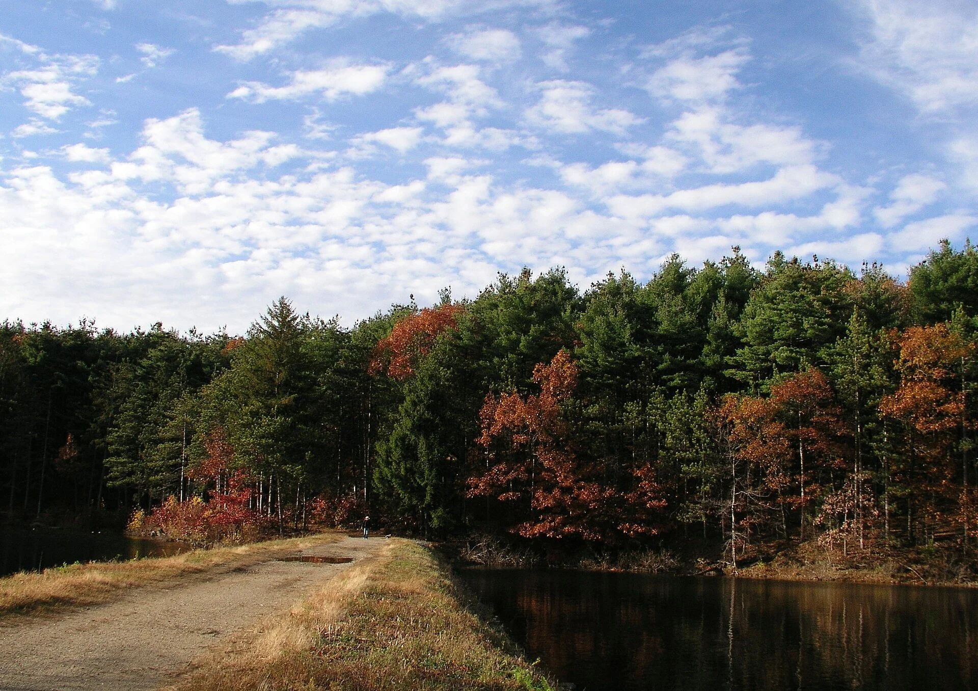 Scenic View of Middlesex Fells Between the South and Middle Reservoirs