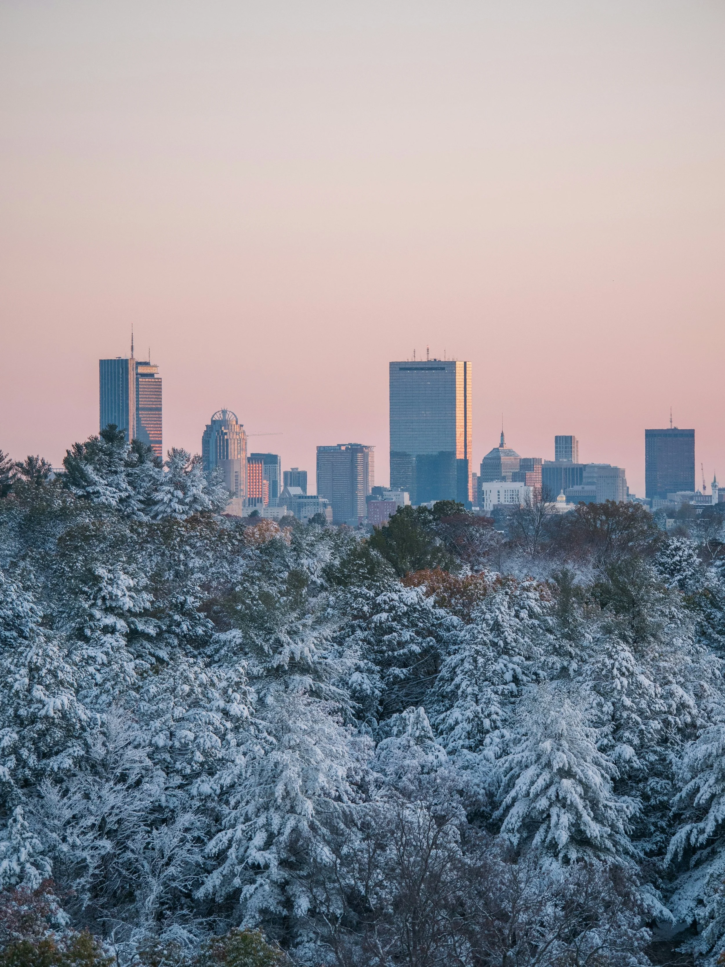 Early morning light shines off the skyline of Boston, MA the morning after the first snowfall of the year. Taken from the top of Peter's Hill at the Arnold Arboretum.