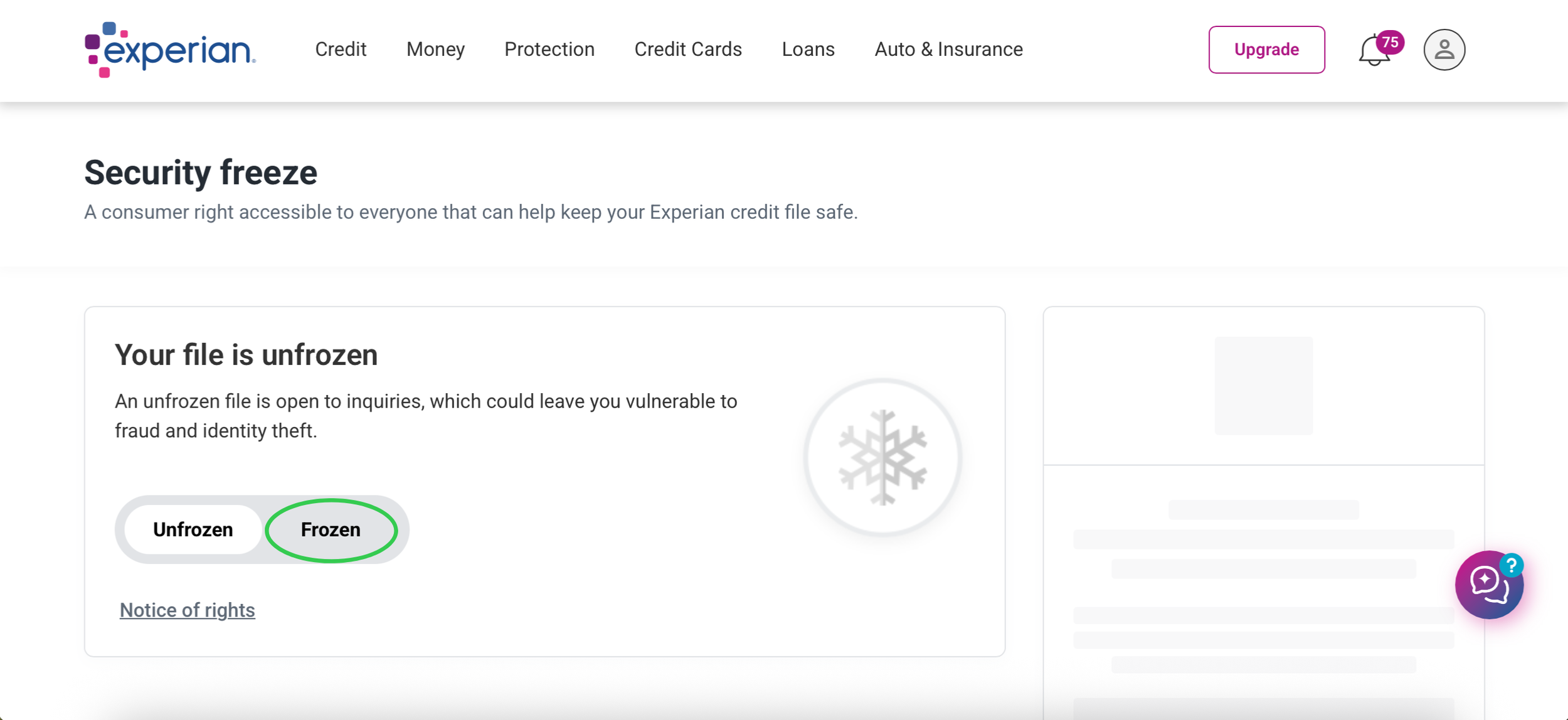 Experian Frozen Option
